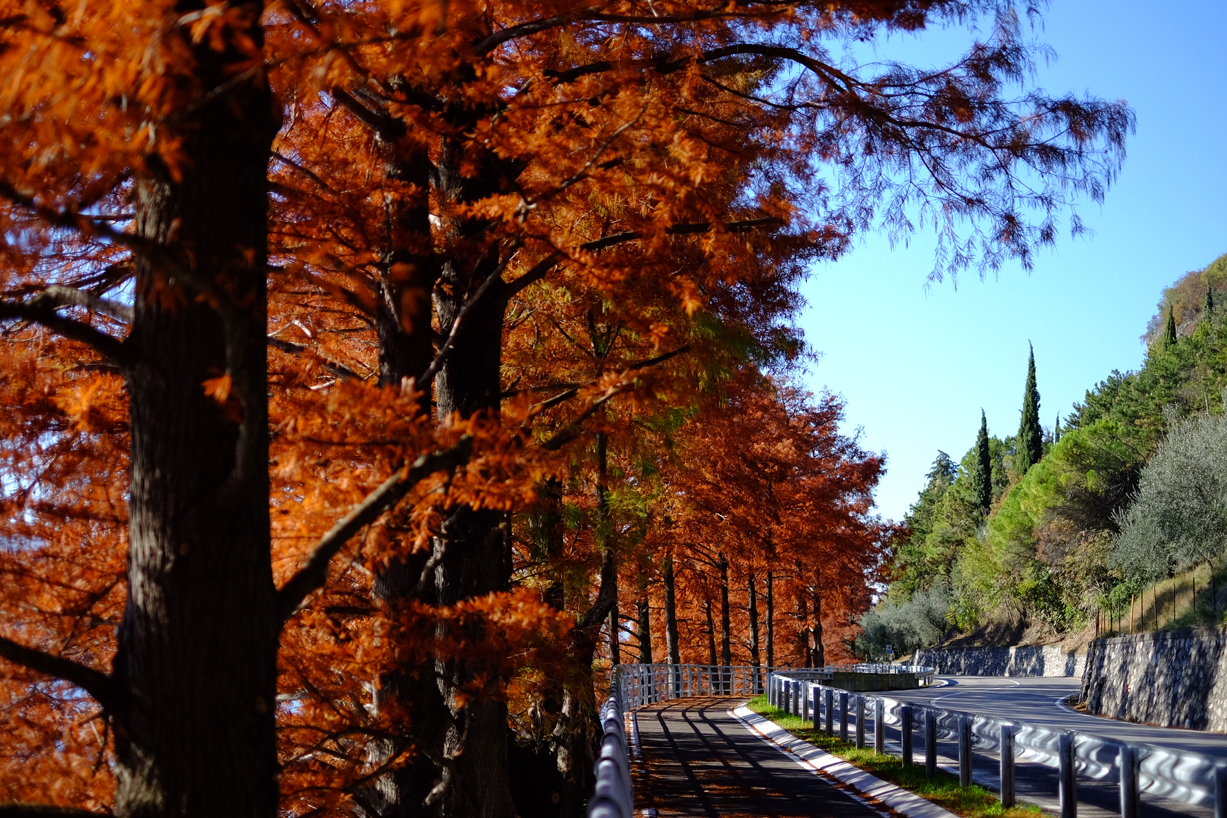 L'autunno prende il sopravvento....