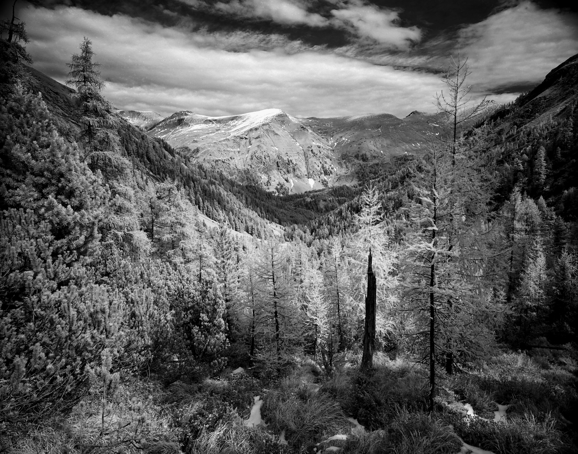 Austrian Landscape IR