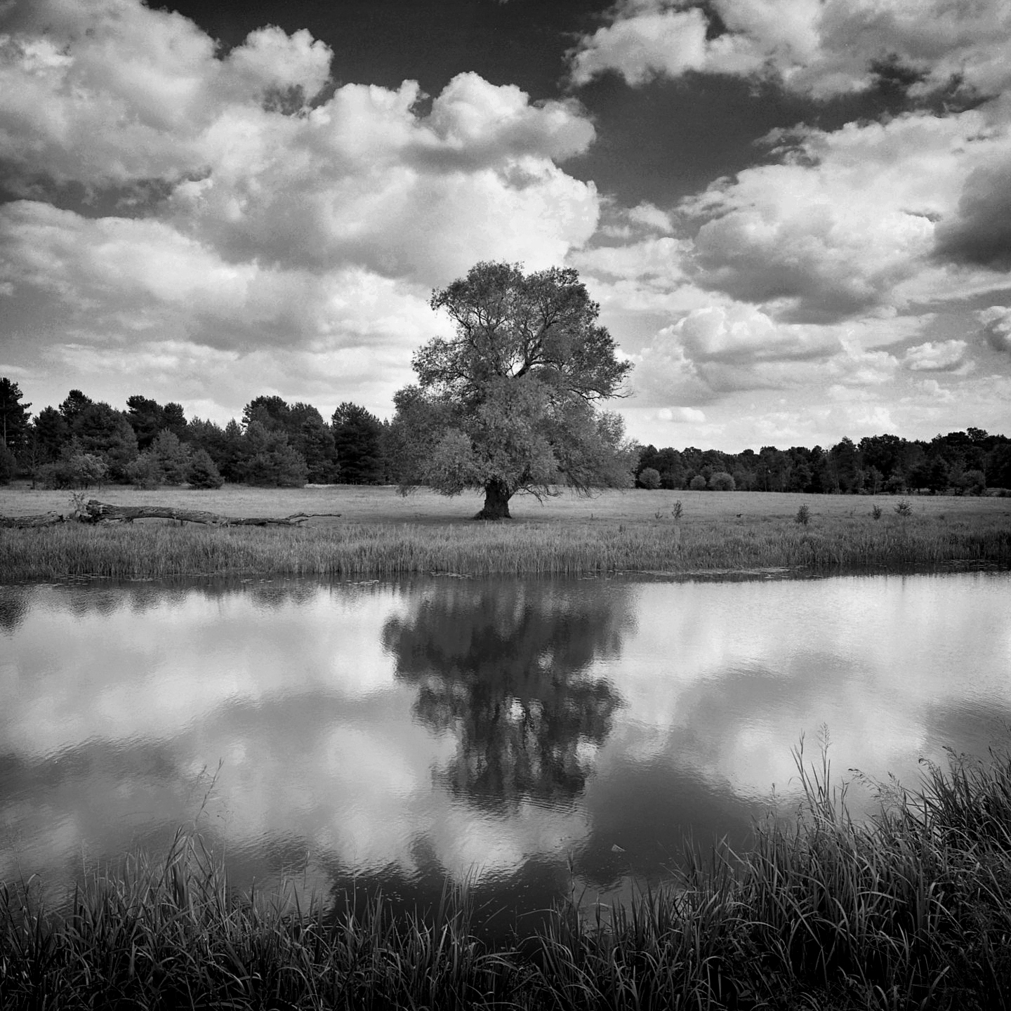 IR Narew, Poland