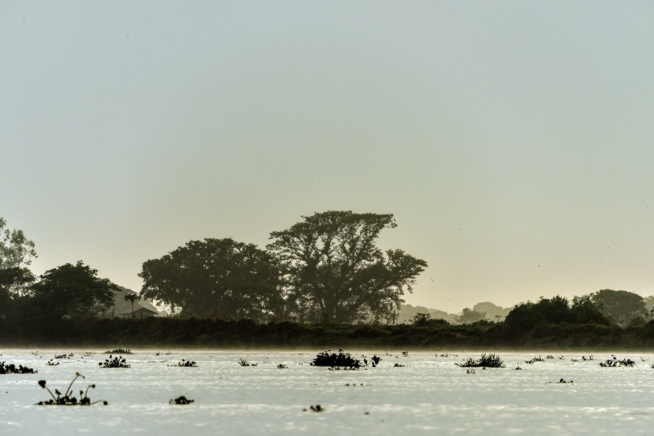 Pantanal 2015 - Rio Cuiabà