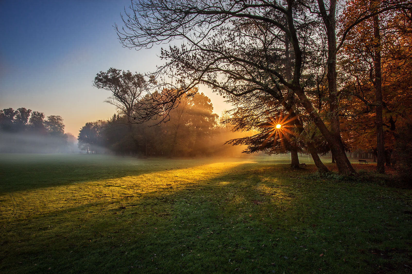 Parco di Monza "Alba" Autunno Paesaggio