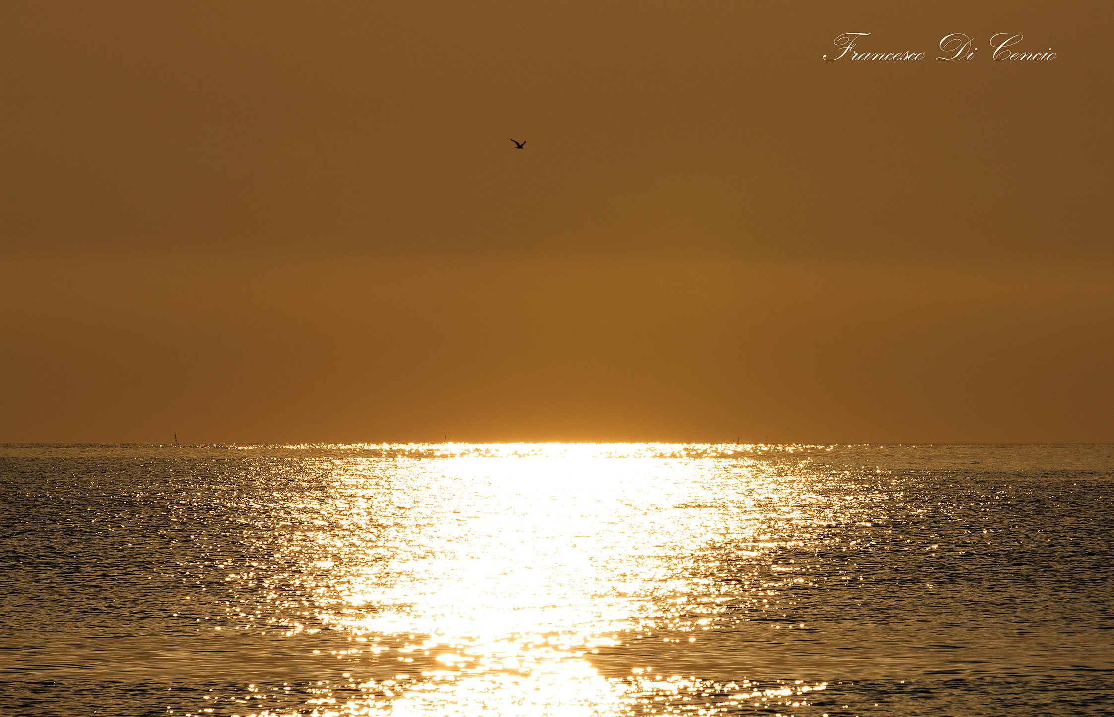 In volo verso il nuovo giorno