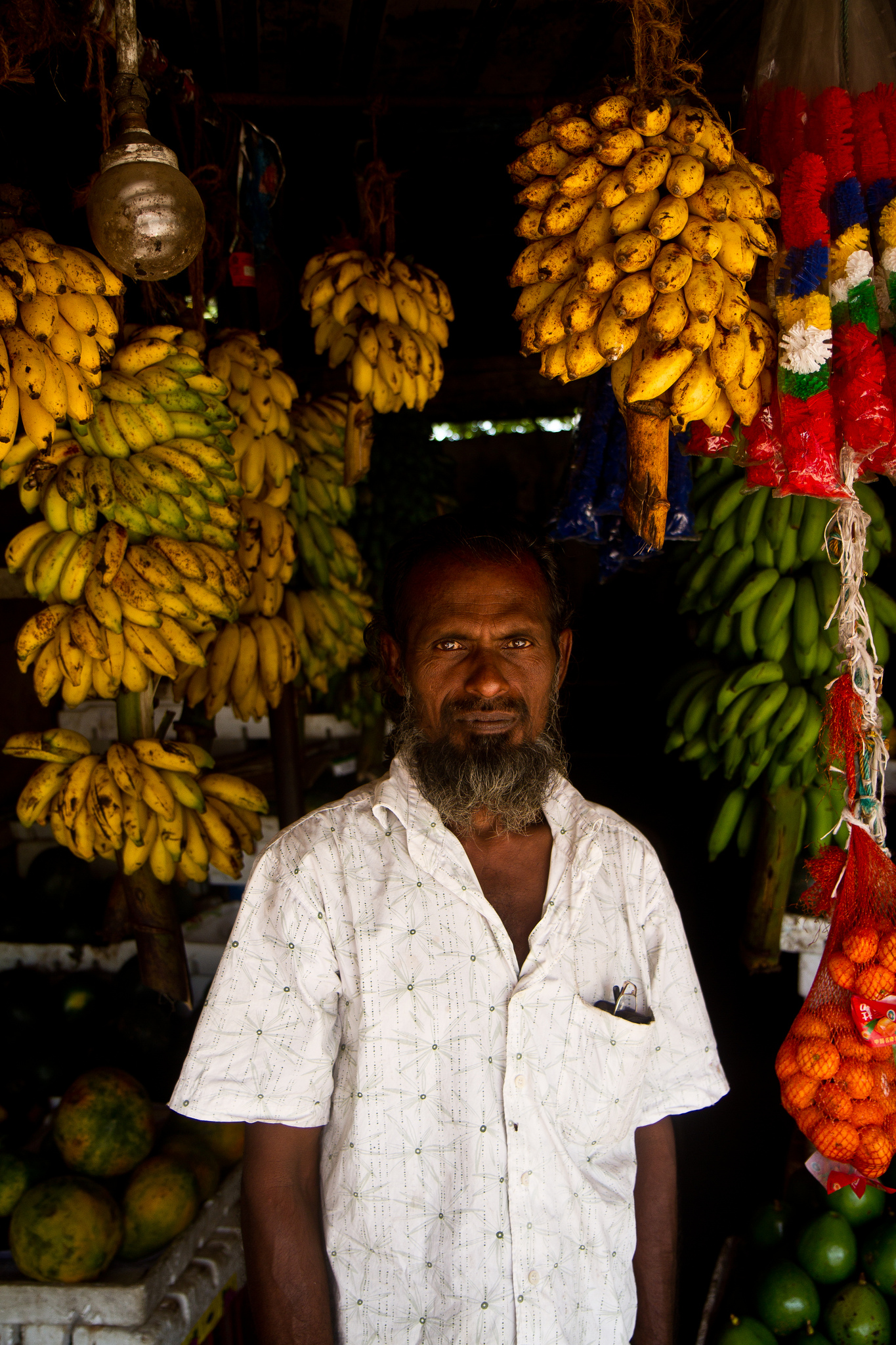 Matara, venditore di frutta, Prov. del sud, Sri Lanka