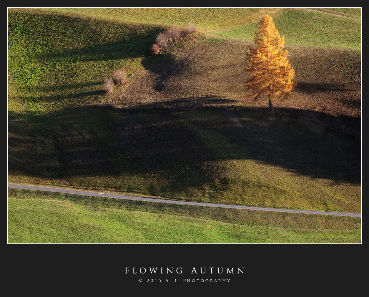 Flowing Autumn