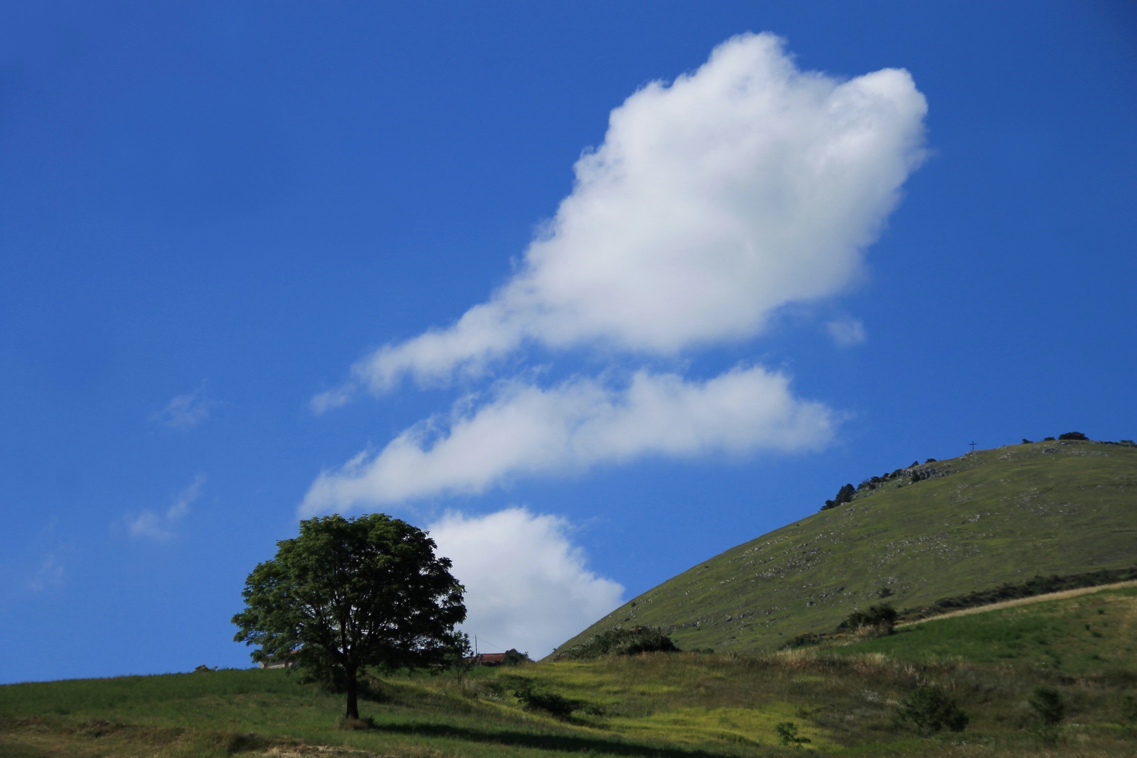 Verde e Blu e bianco