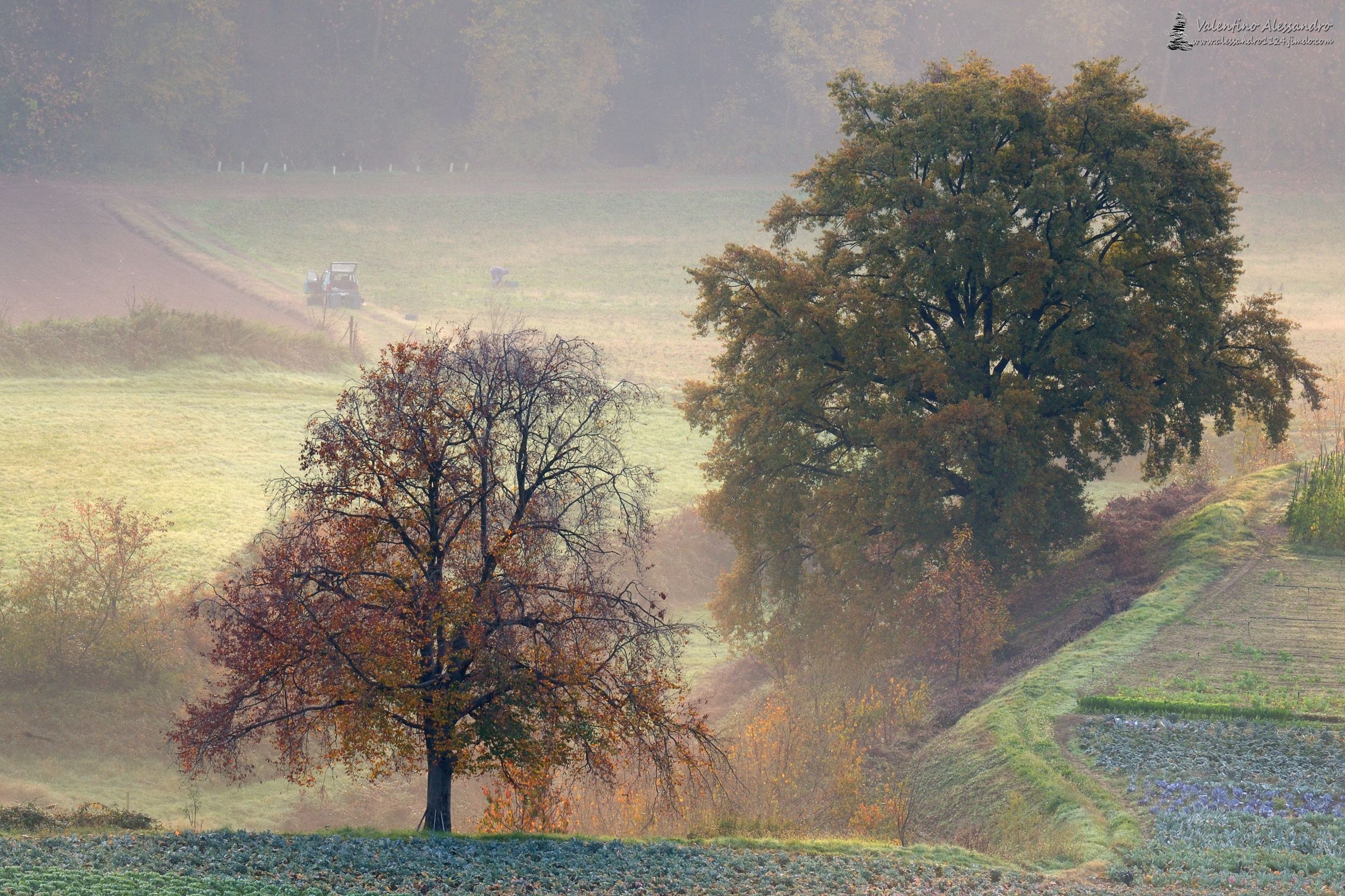 Autunno a Montevecchia