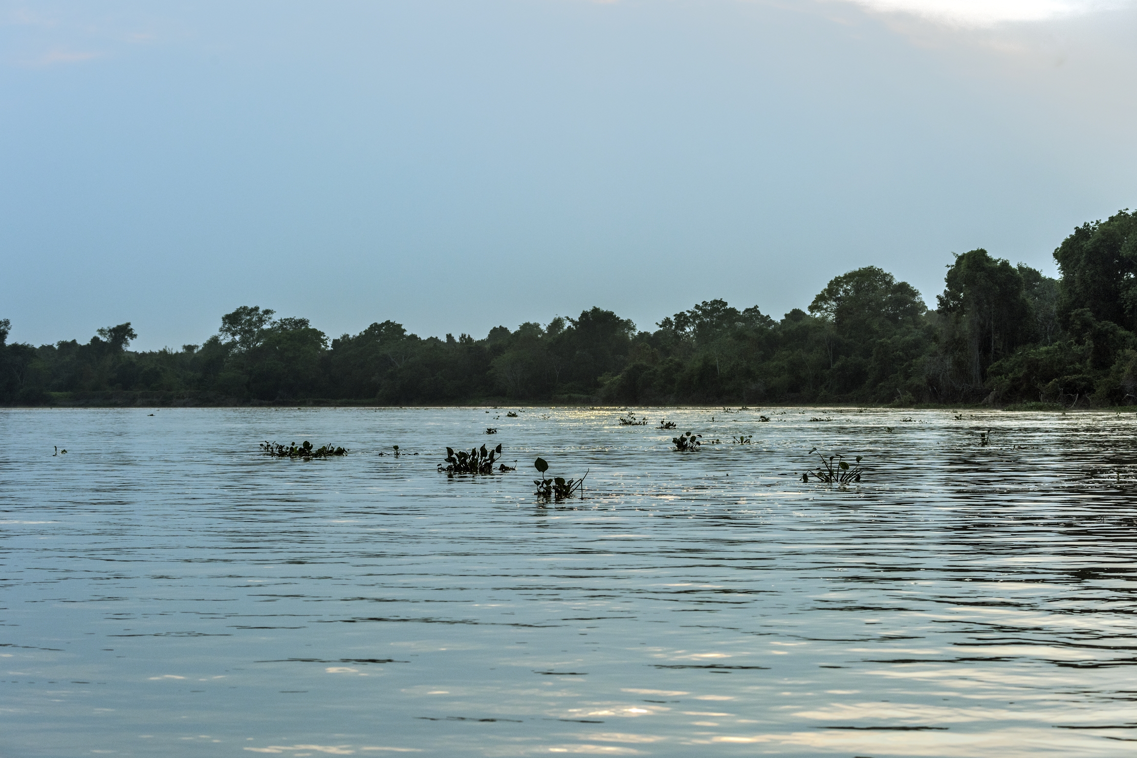 Pantanal 2015 - Rio Cuiabà