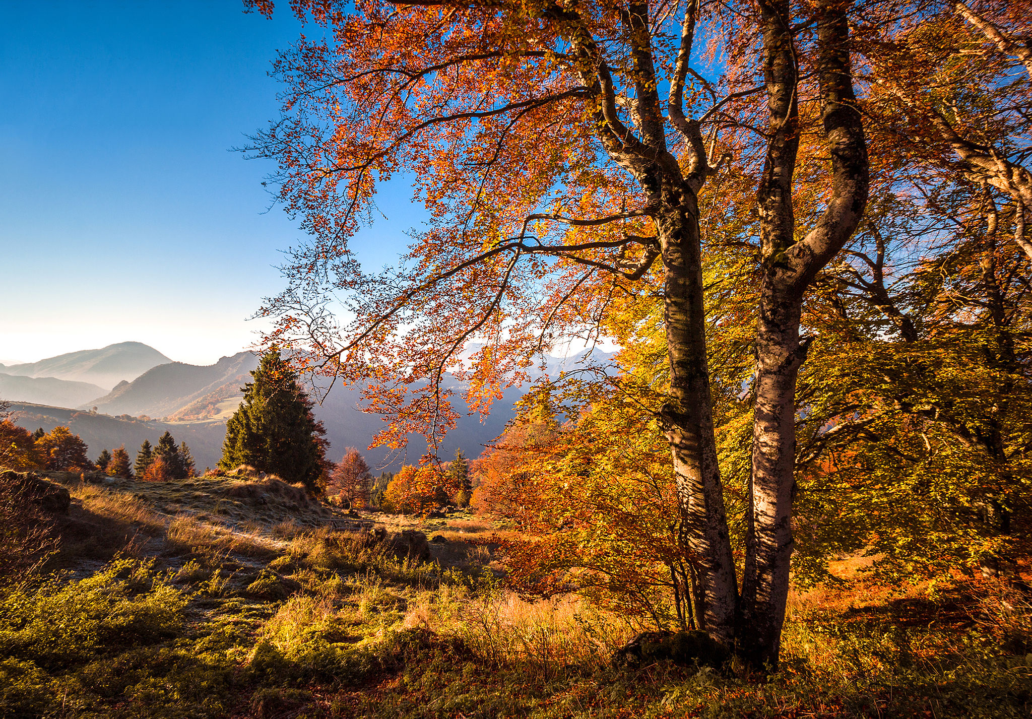 The beauty of autumn colors