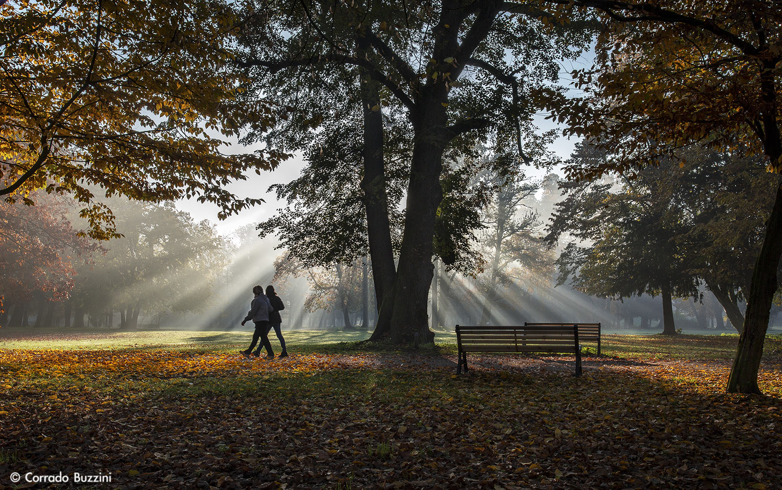 Walking through the park of Monza
