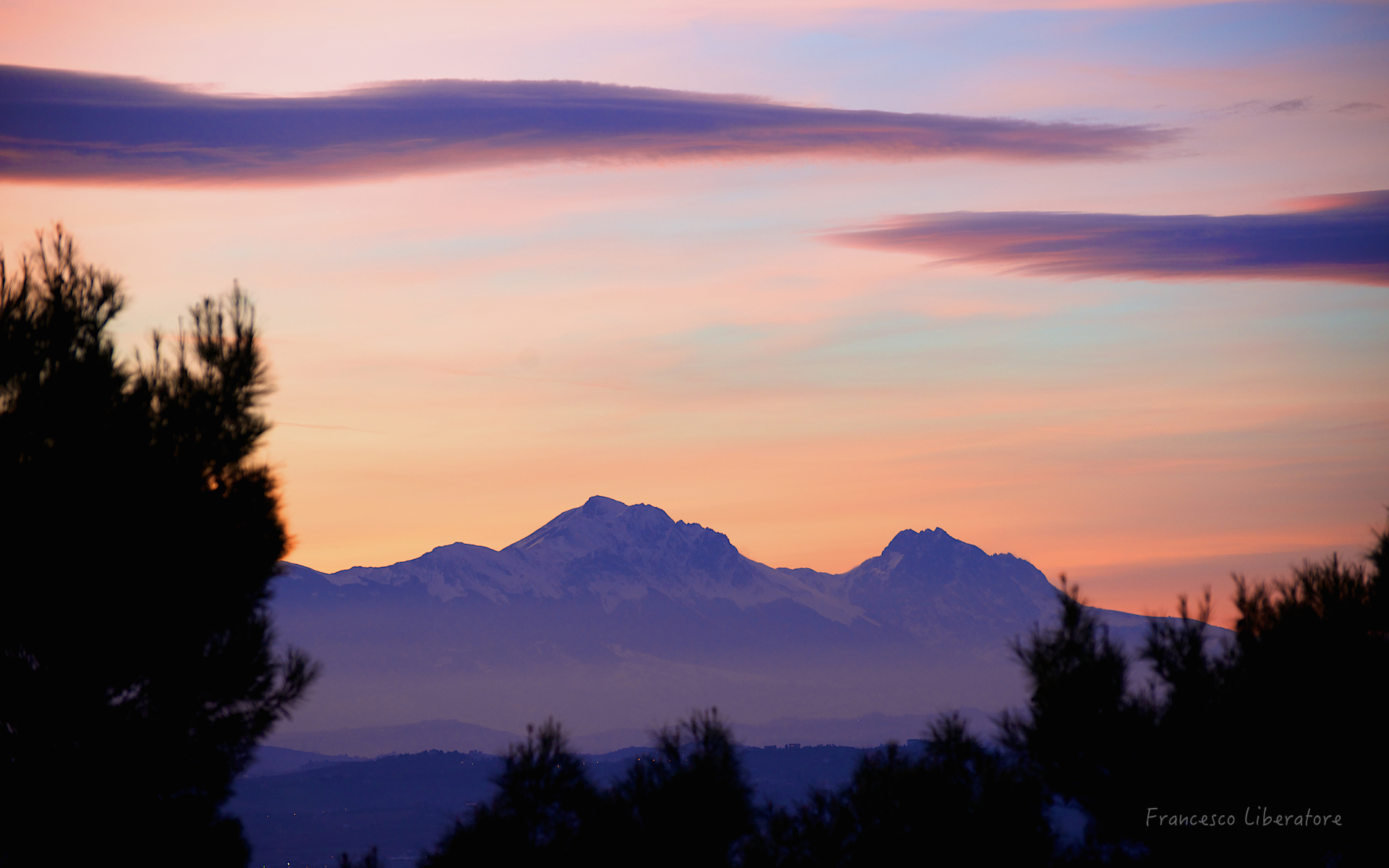 la bella addormentata