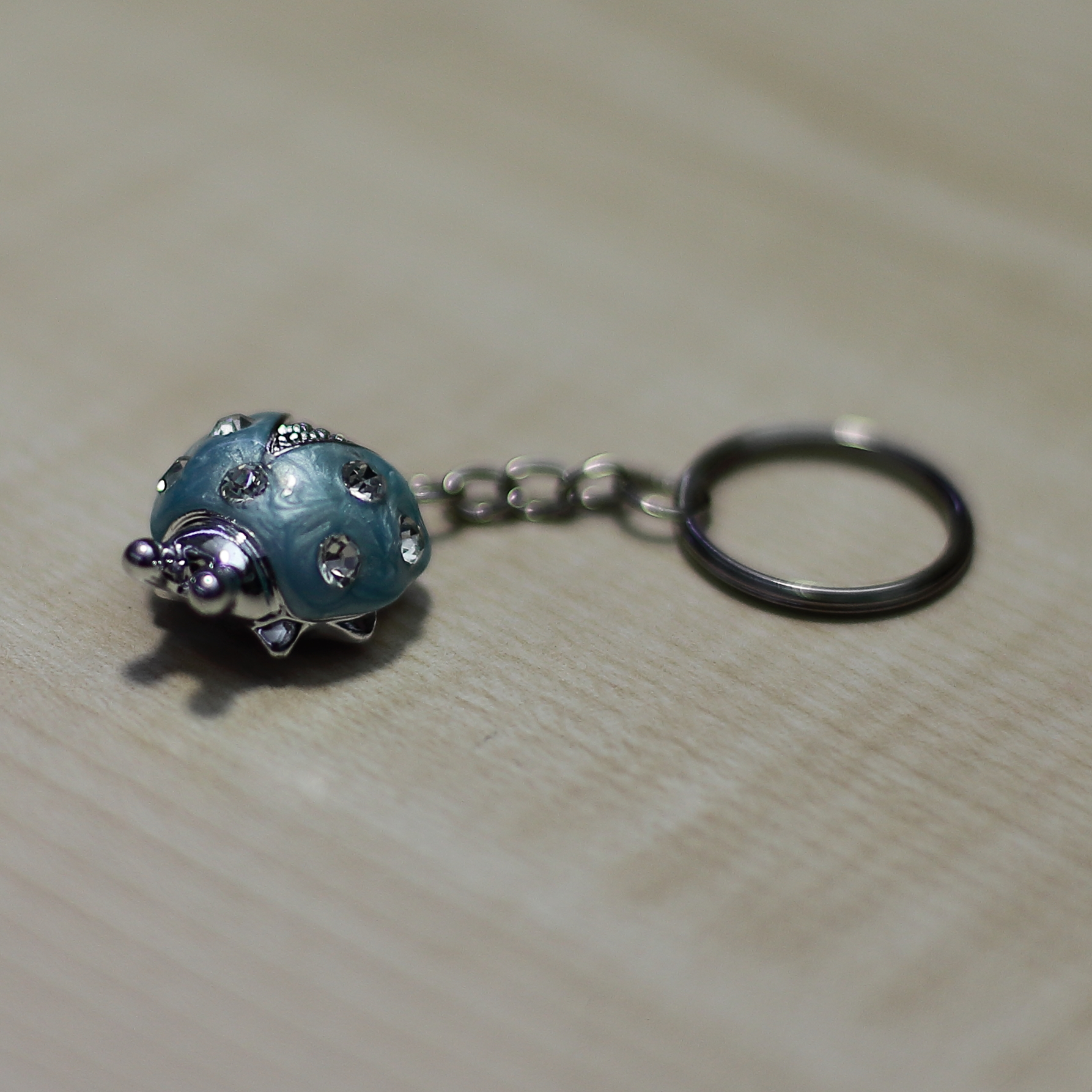 keychain or luck !!!