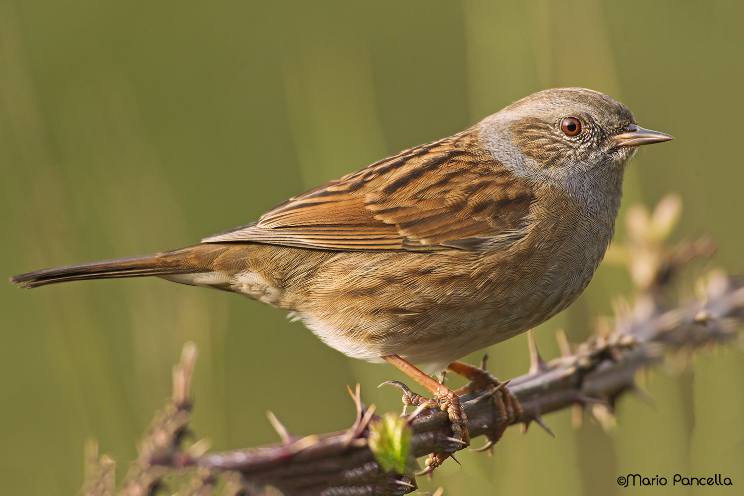Stiamo vicini vicini!!!