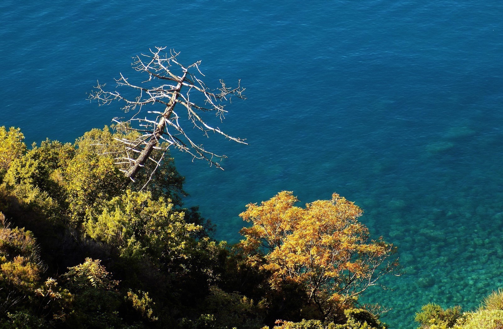 Traversata da Riva Trigoso a Moneglia (ge)