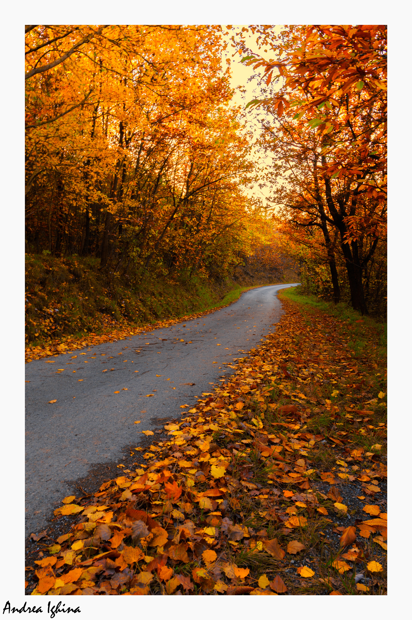 Strada autunnale
