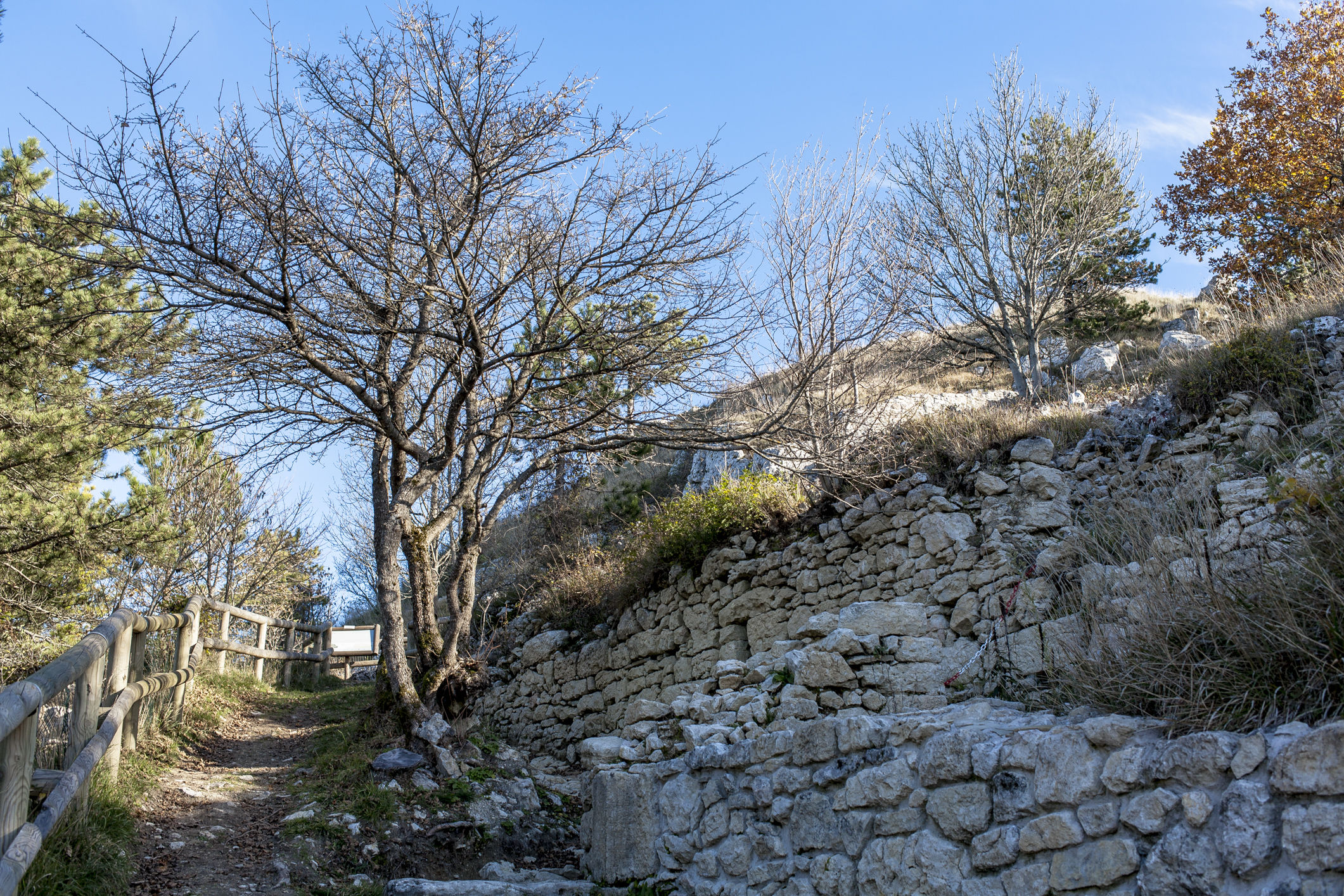 THE castle of Montecopiolo