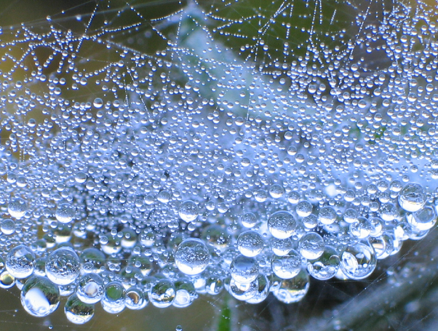 gocce che riflettono gocce che riflettono gocce  ...