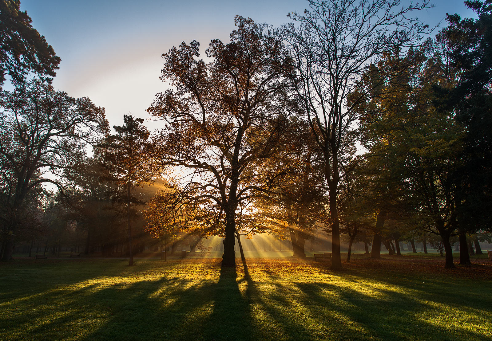 Alba al Parco di Monza Paesaggio con raggi di sole