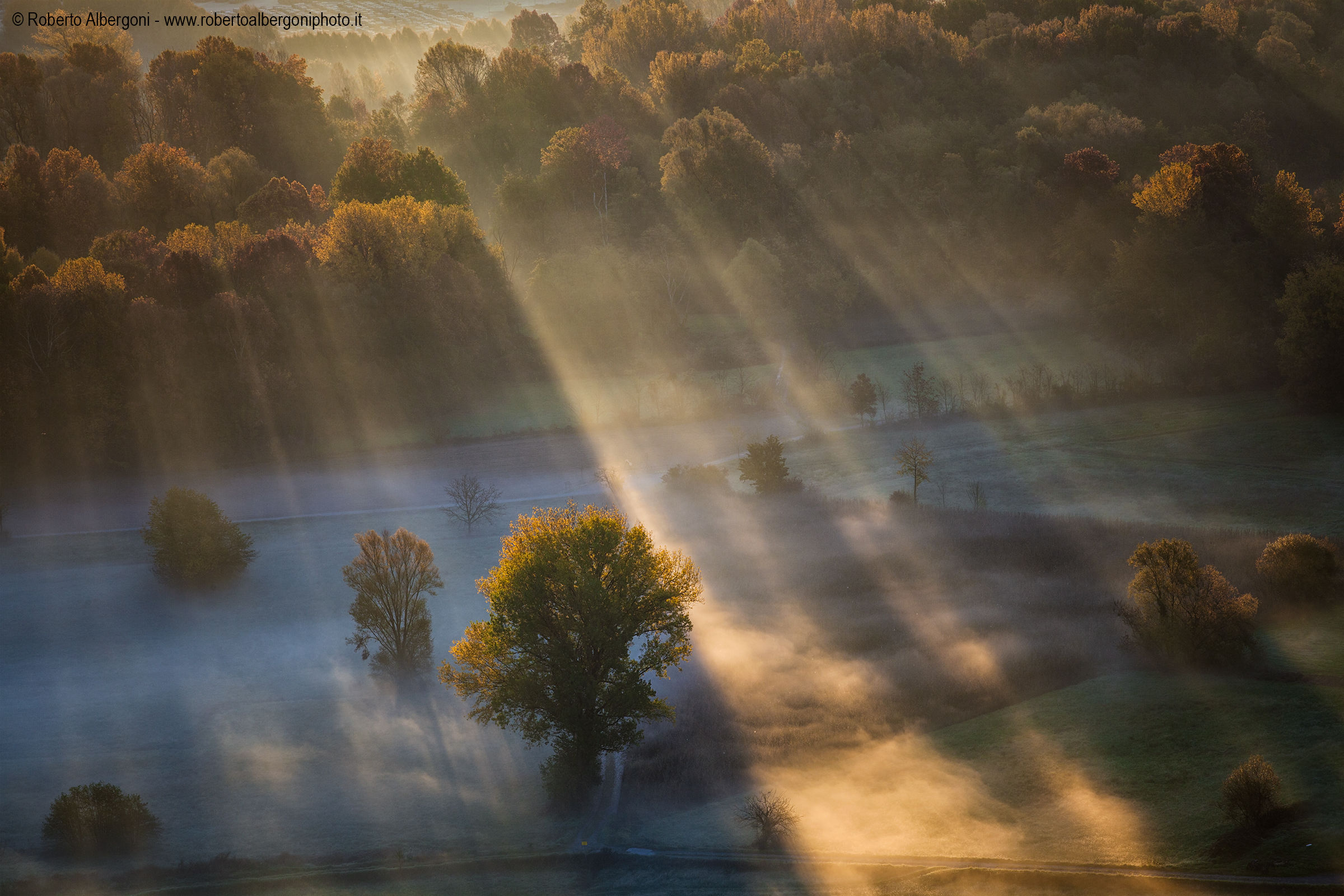 The heat of the morning