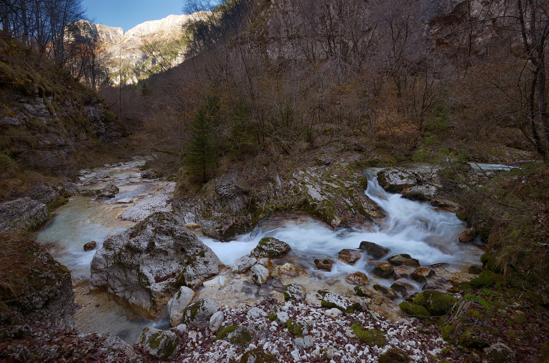 Torrente Raccolana. Alpi Giulie.