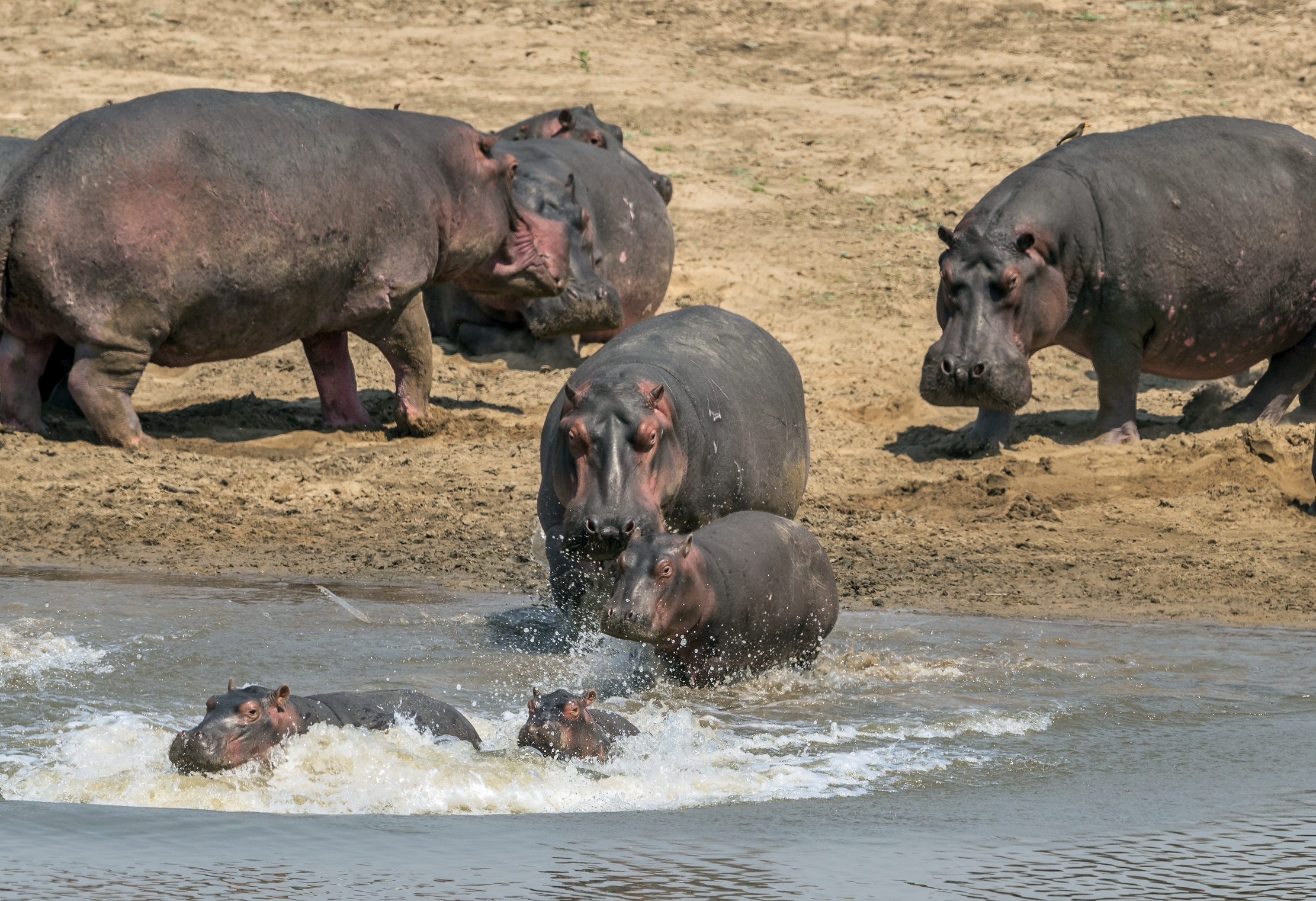 Zambia 2015 - A fare il bagnetto!!
