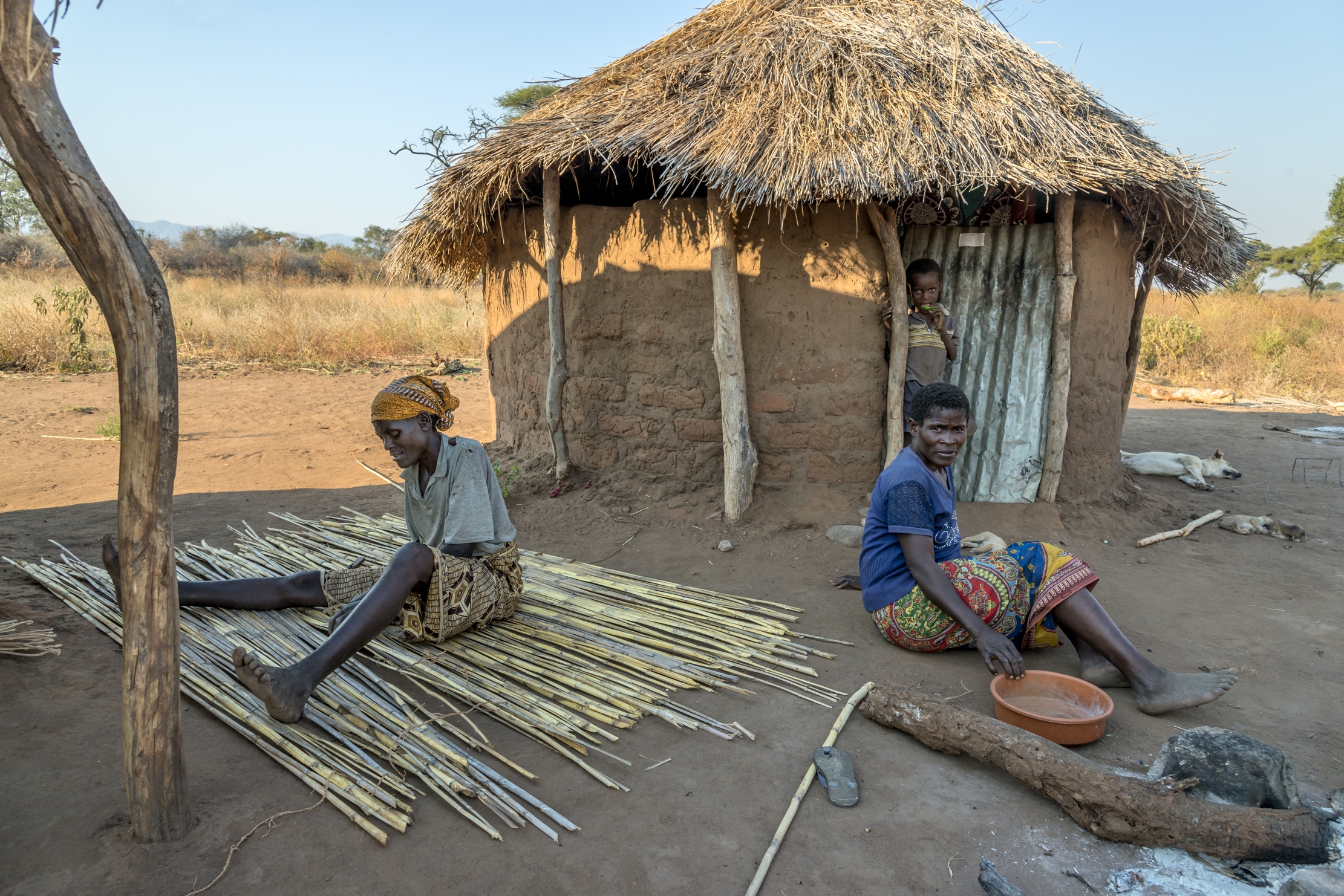 Zambia 2015 - In un villaggio del Lower Zambesii