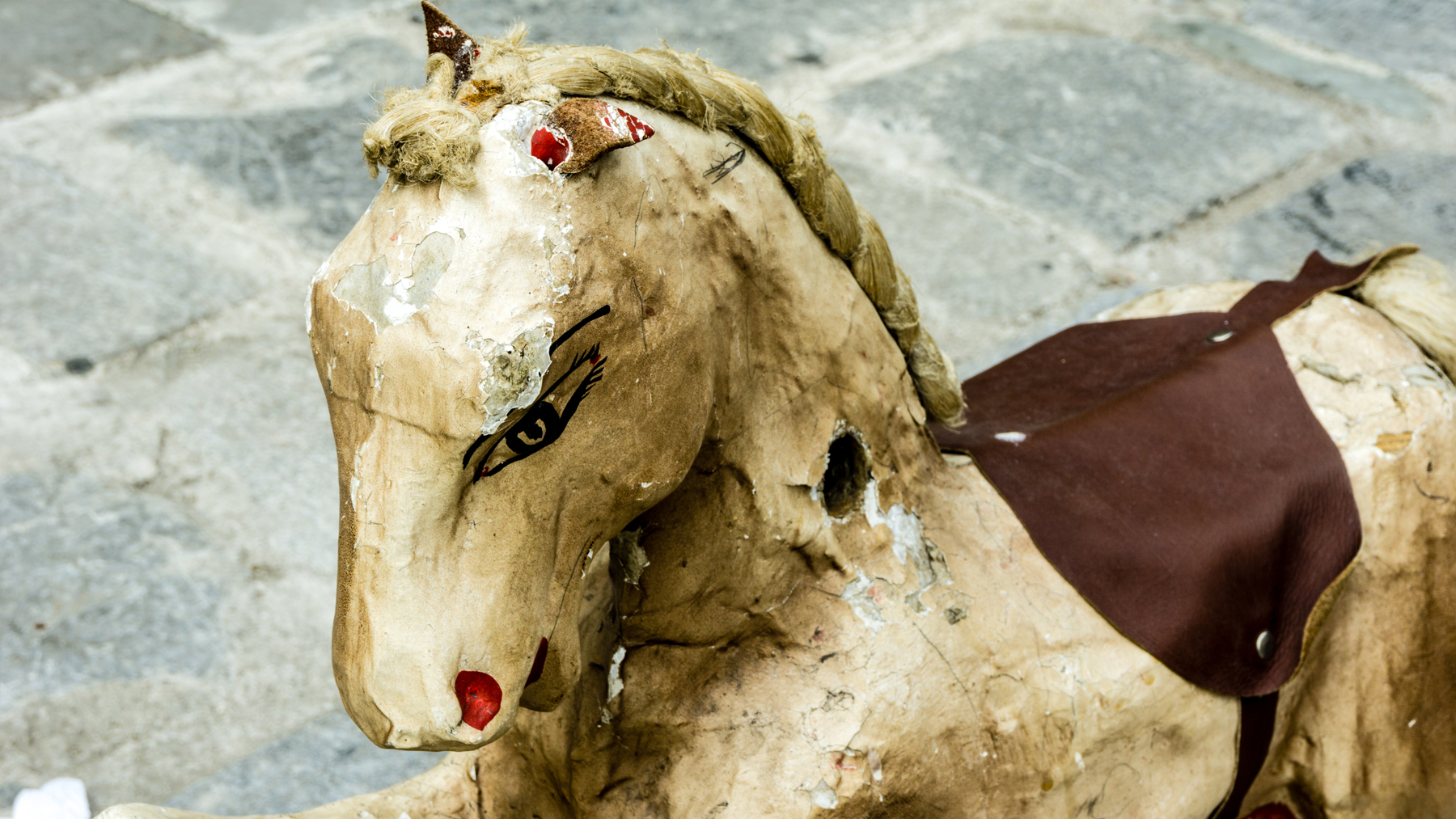 Horse of the past ..