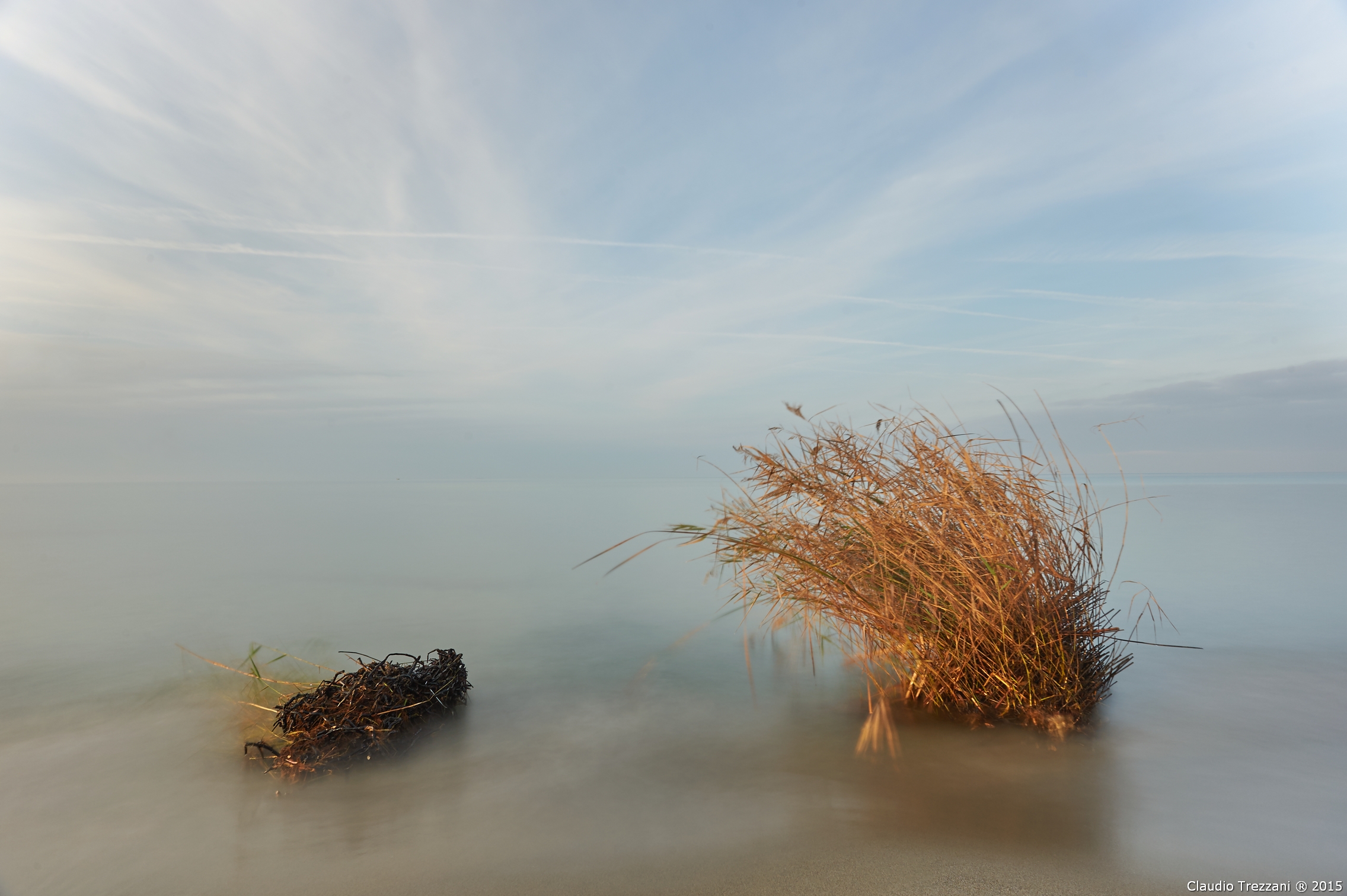 Simultaneity of stasis and movement