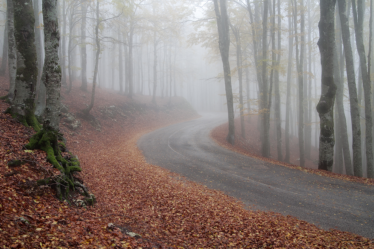 Autumn mist in the pass of Forca d'Acero