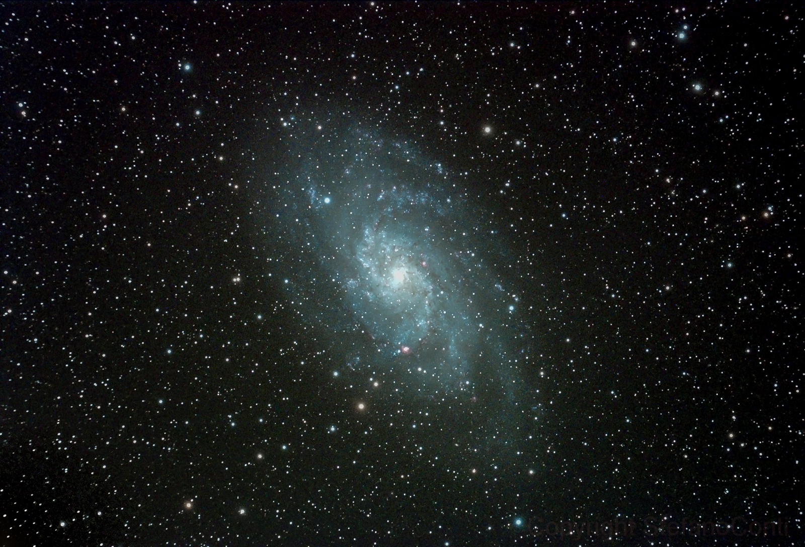 M33