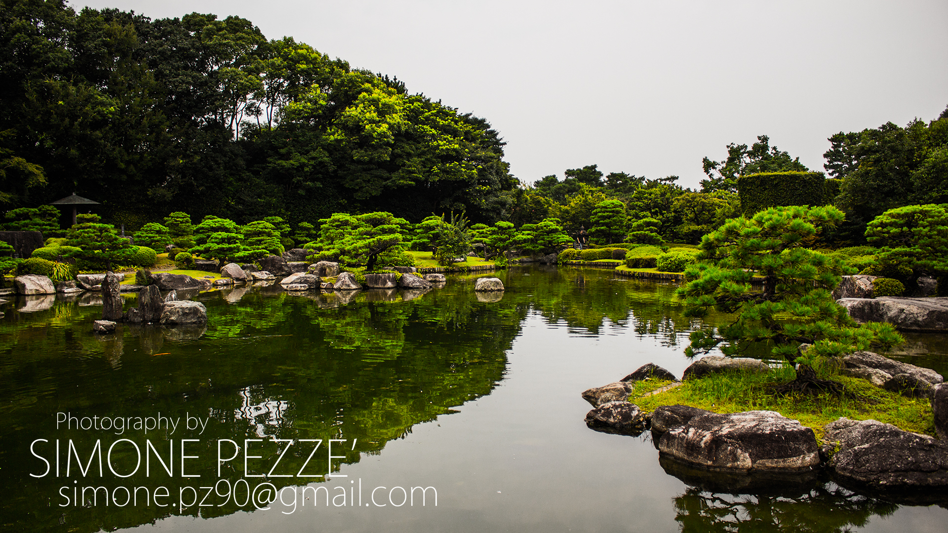 Japanese Zen Garden