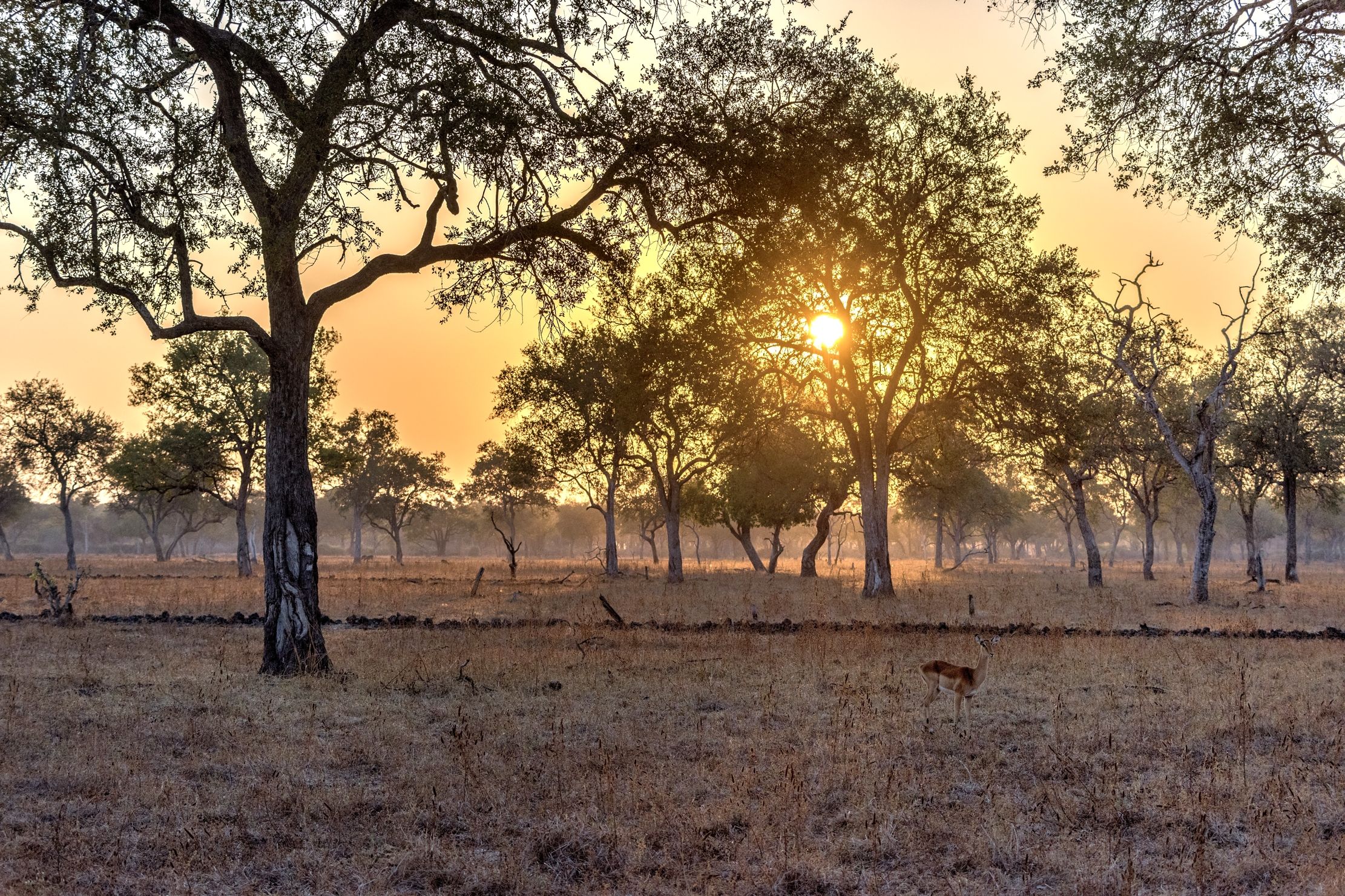 Zambia 2015 - All'alba