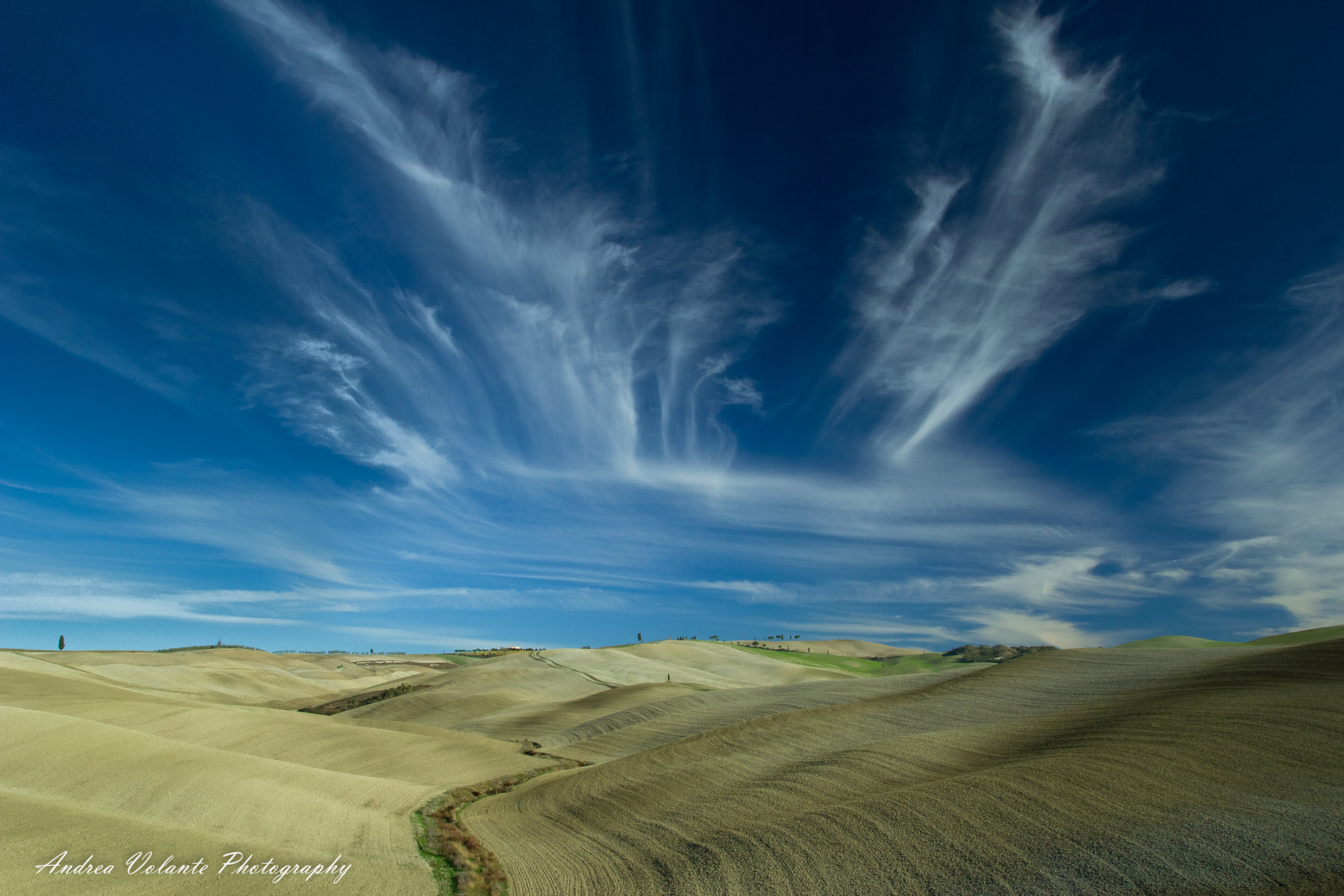 Cirrus of Tuscany.