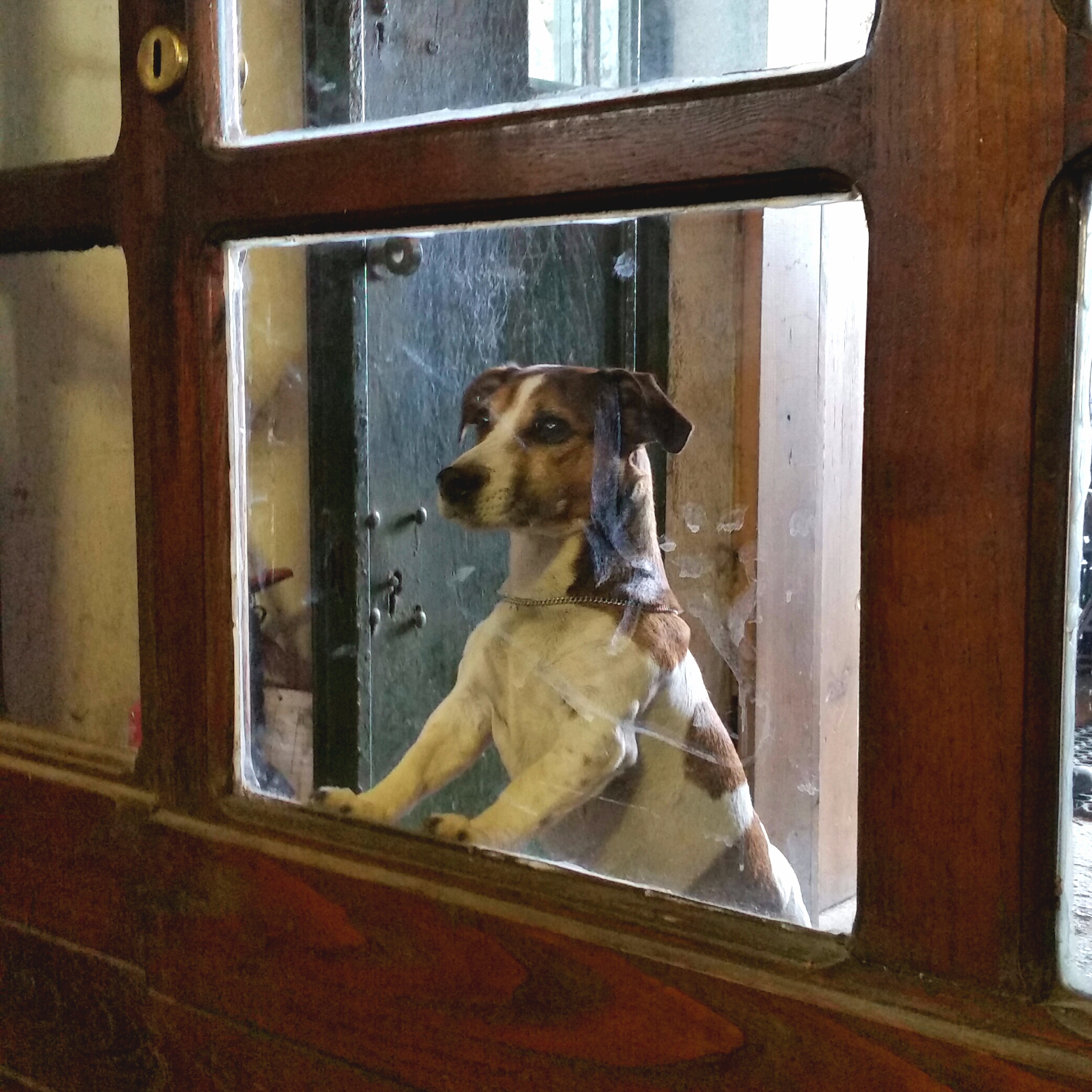 Looking from outside life