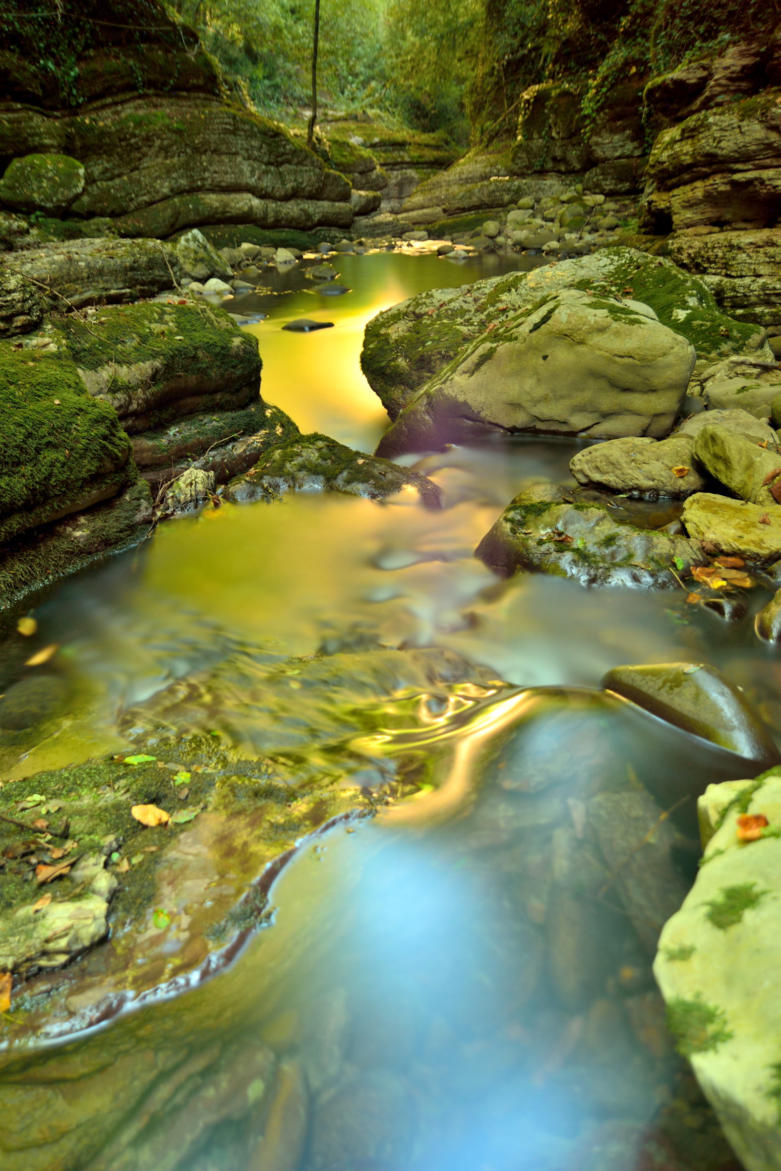 Colors that flow ...