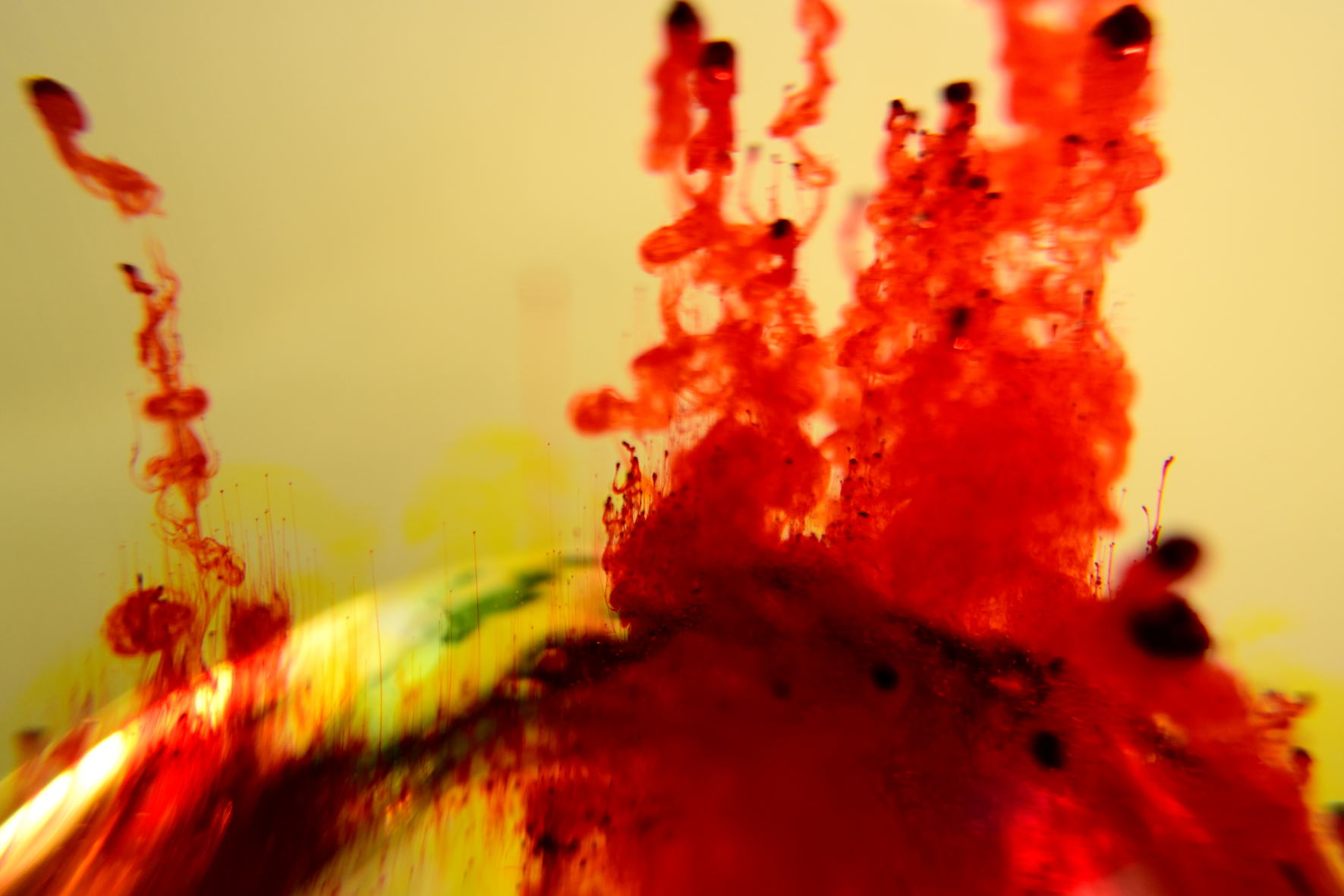 the blood of martyrs