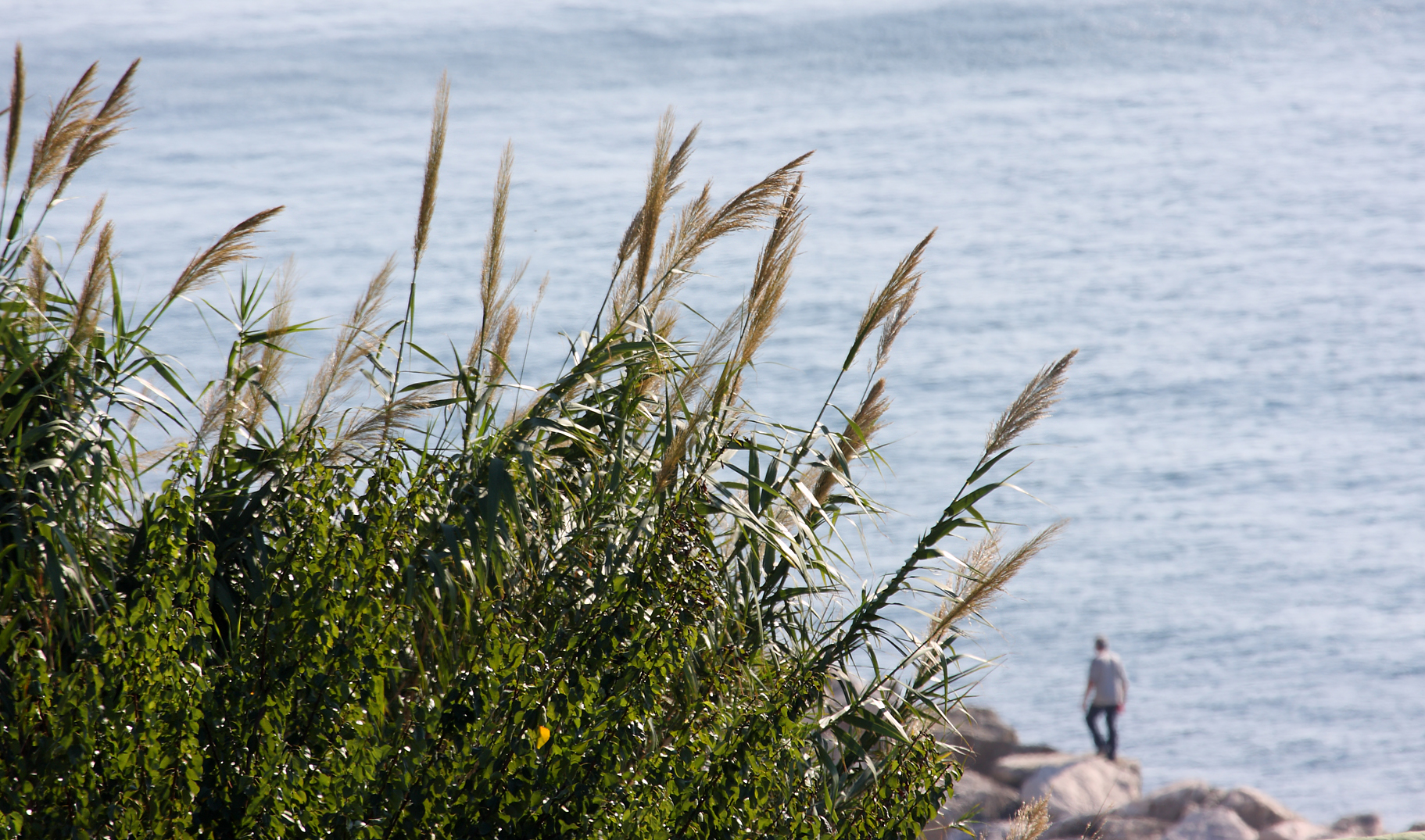 A spasso sul molo...