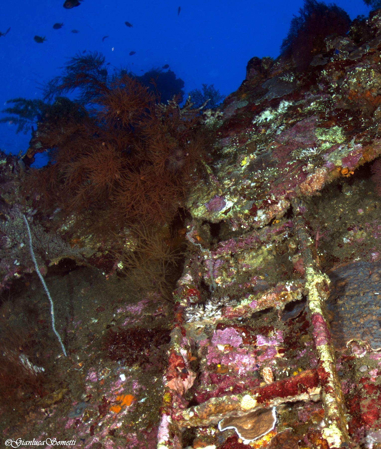 liberty wreck's stairs
