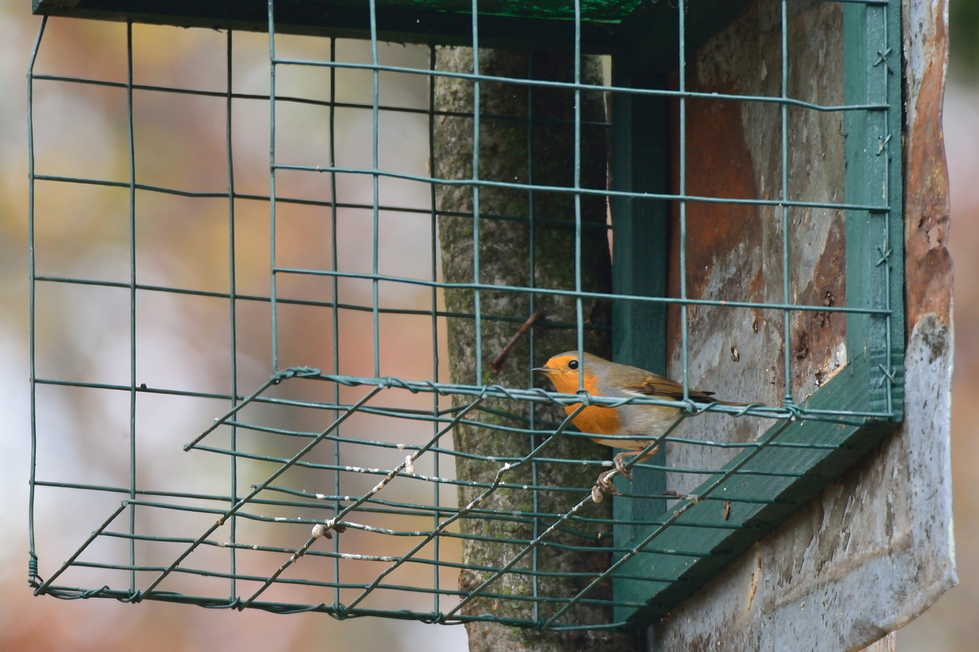 non voglio uscire da qui!!!