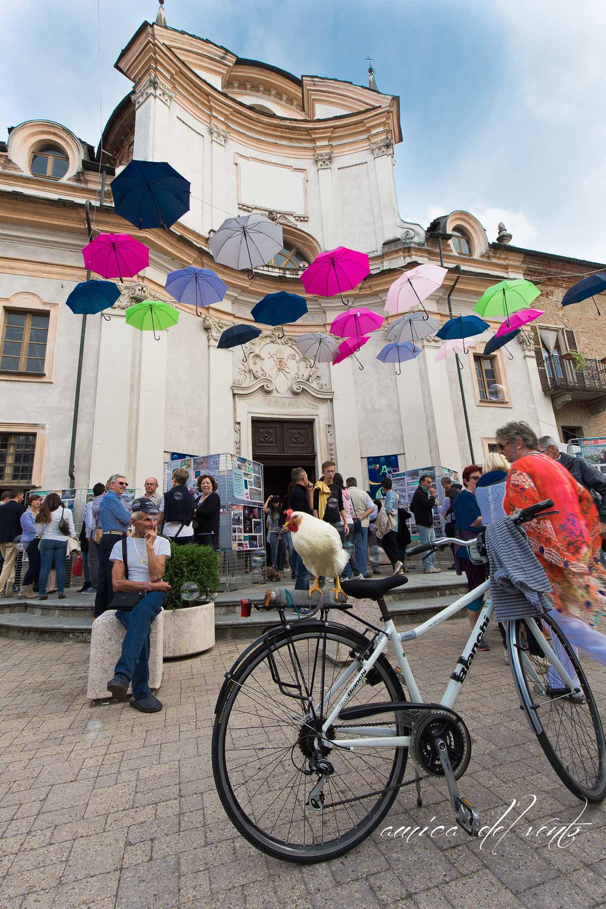 but where do you go .. beauty bike ..