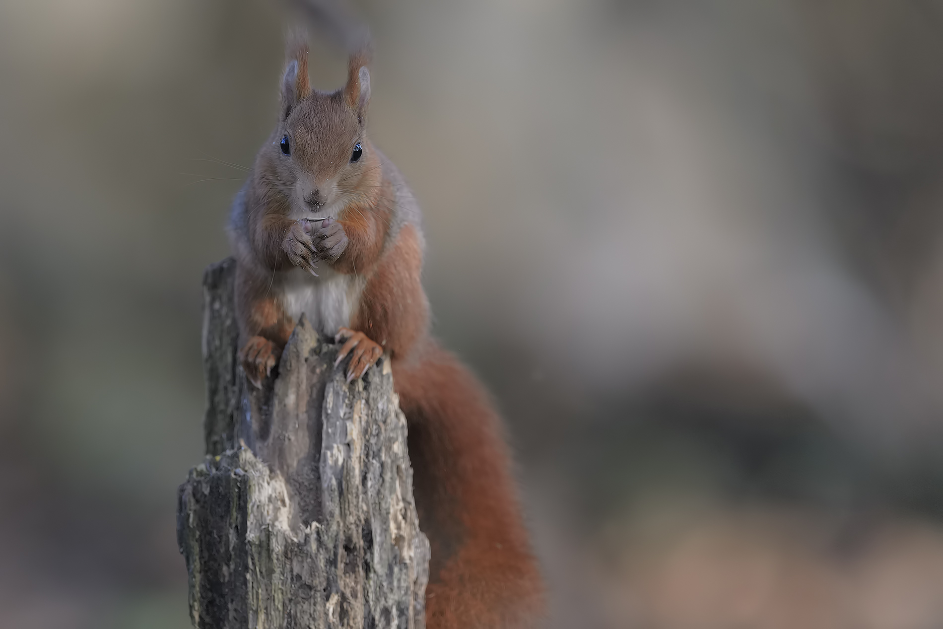 Would you like to taste it???