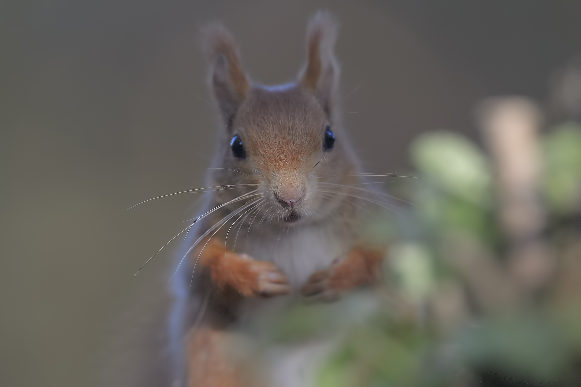 But you look at !!!!!!