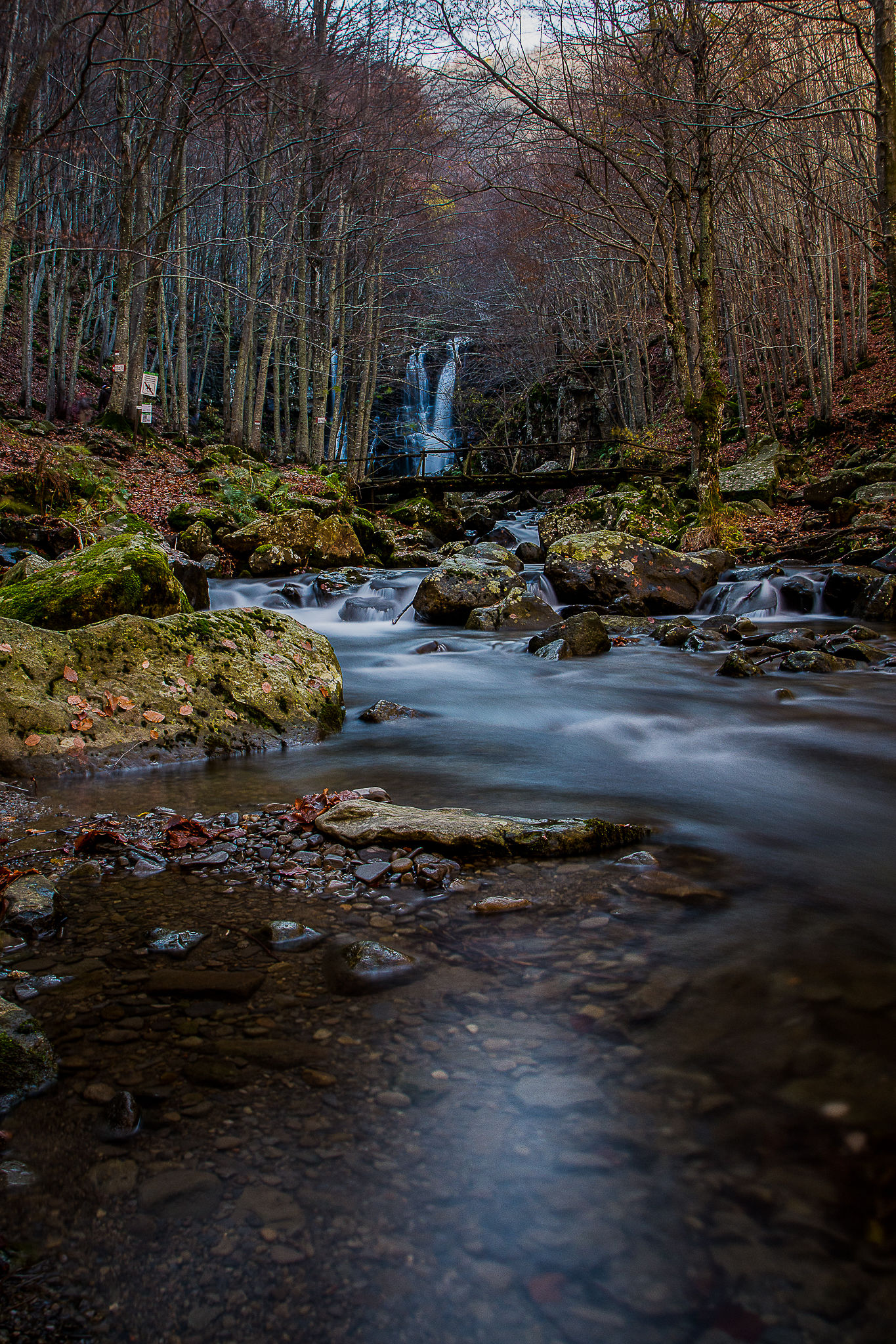 Appennino Tosco Emiliano