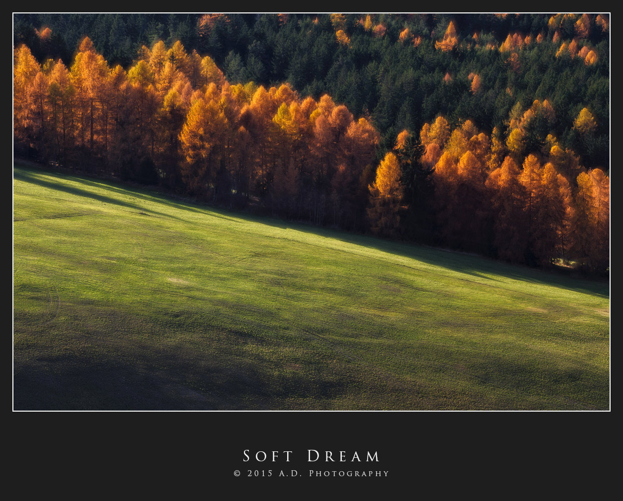 Soft Dream