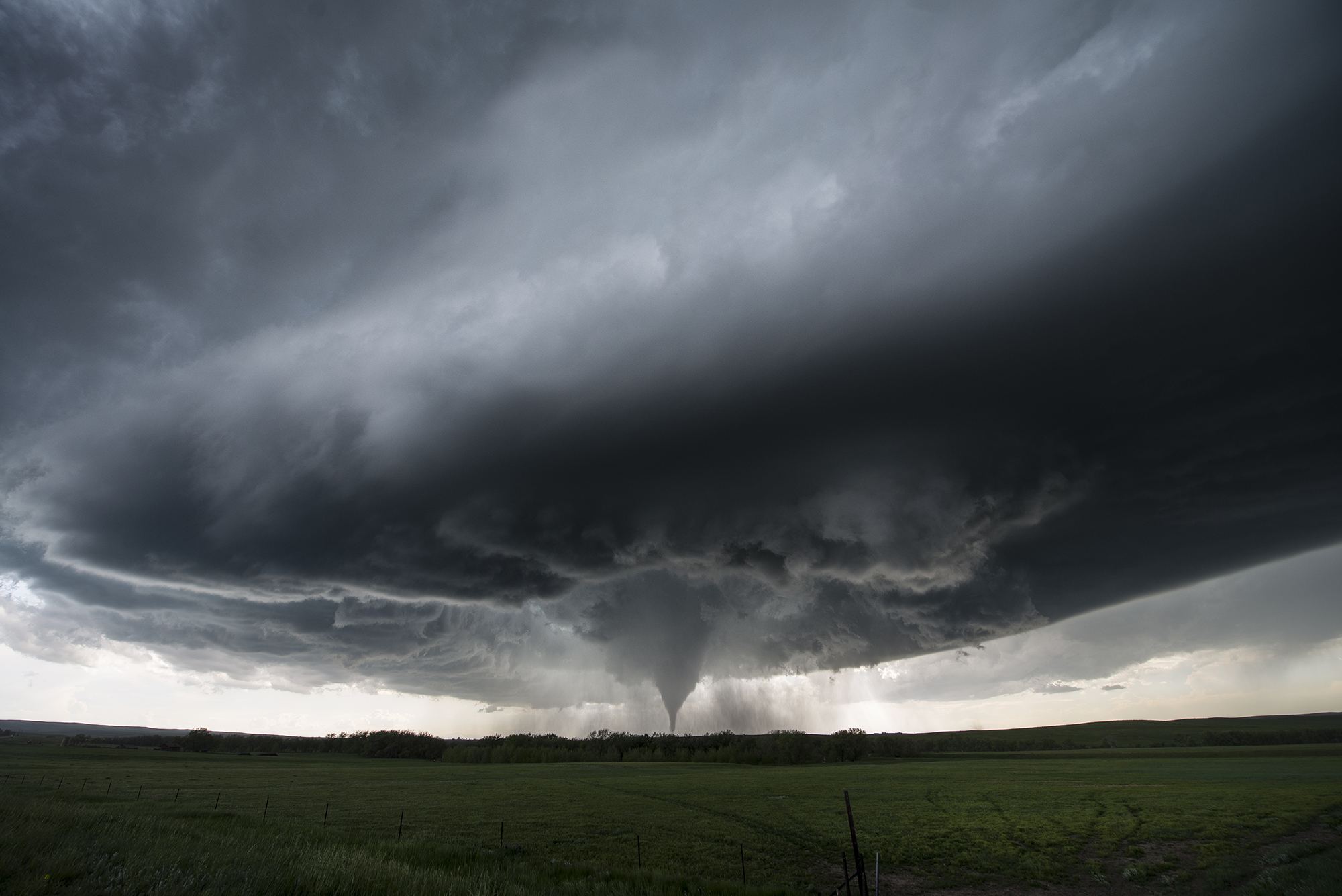 Quando la natura da spettacolo - Simla 4 giugno 2015