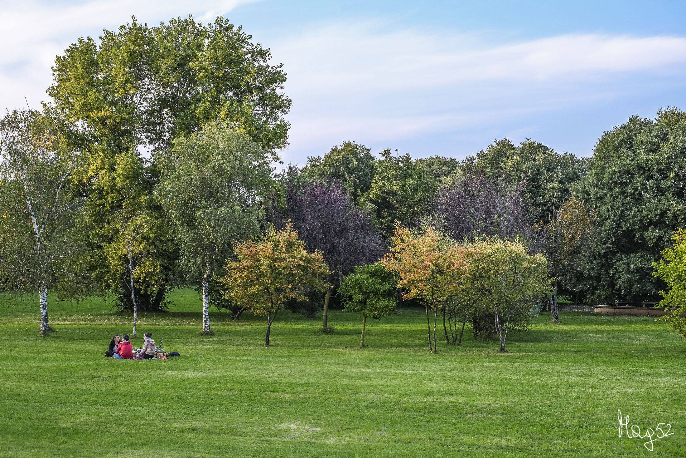 Sunday at the North Park