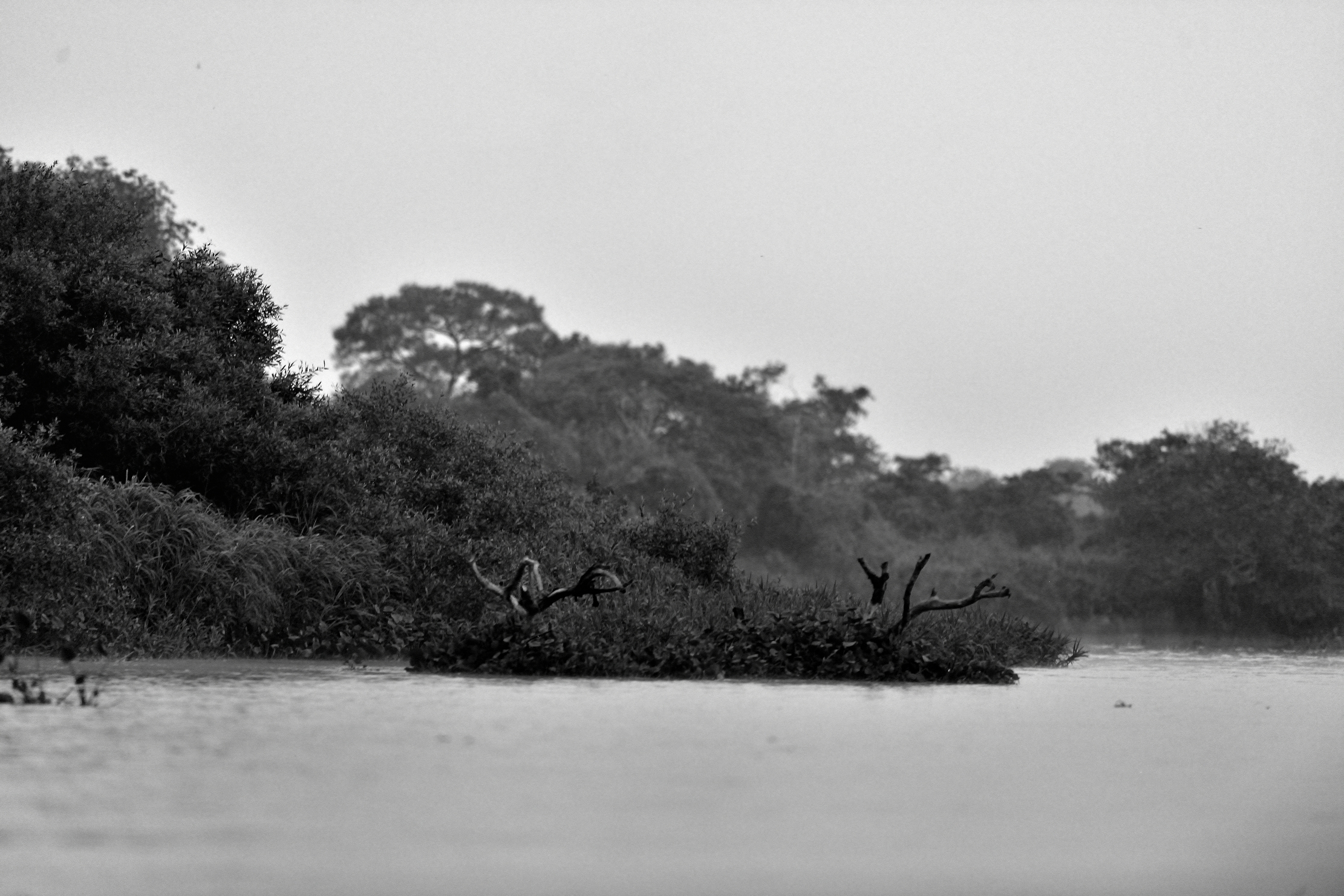 Pantanal 2015 - Pioggia sul Cuiabà B&W
