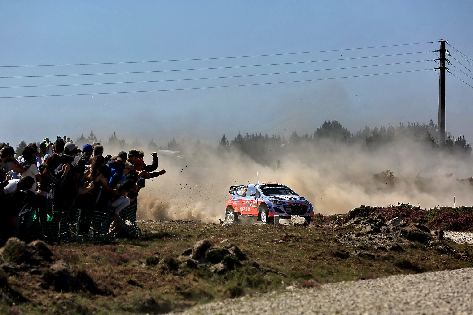 the passion for the rally