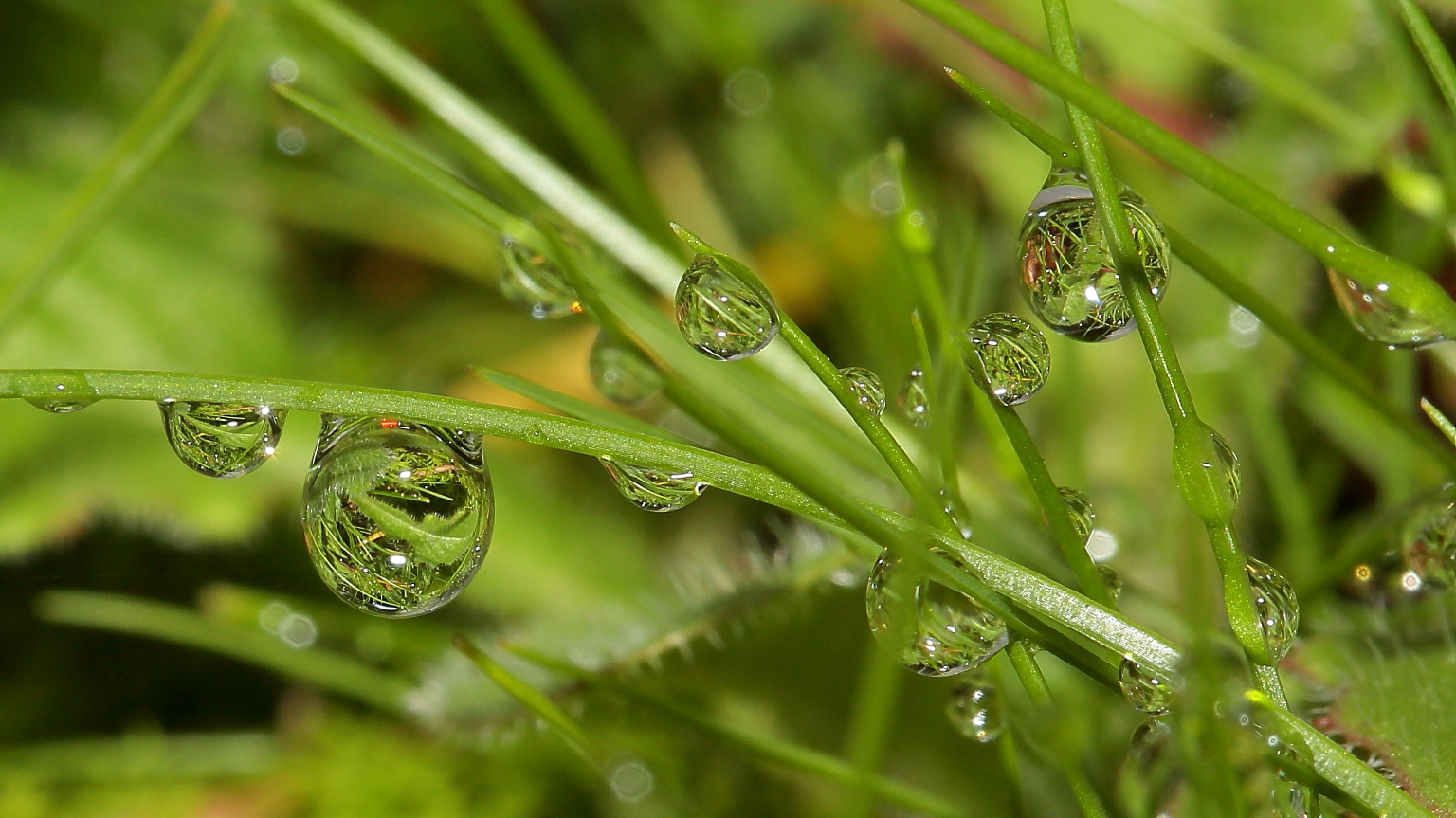 Gocce che ingabbiano immagini