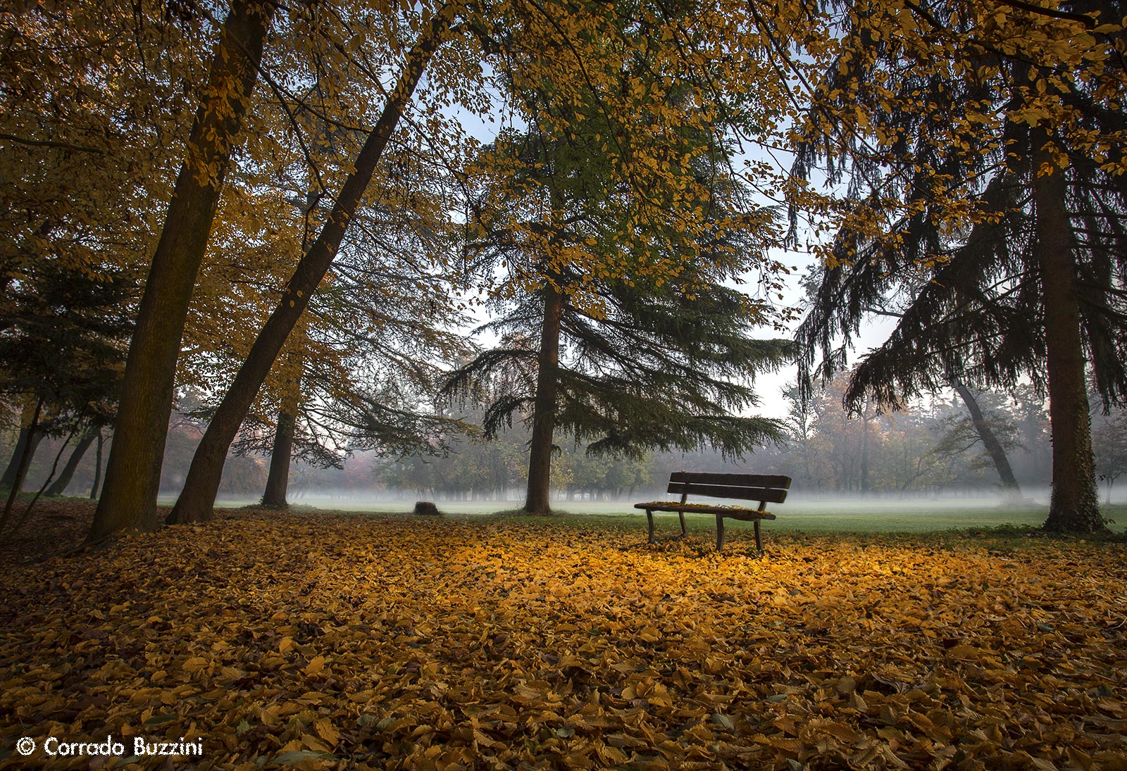 Parco di Monza La panchina in autunno
