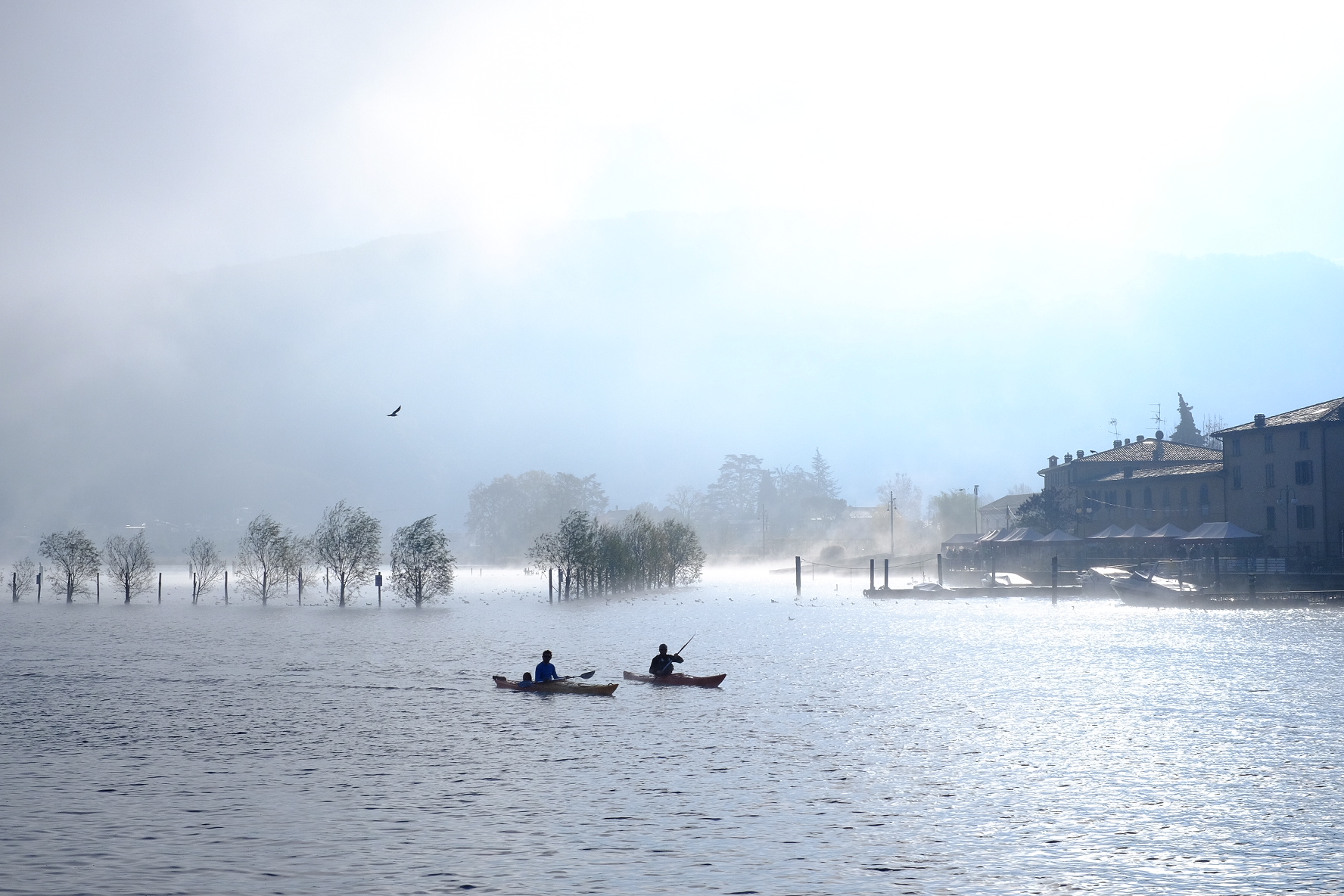 First fog on the lake